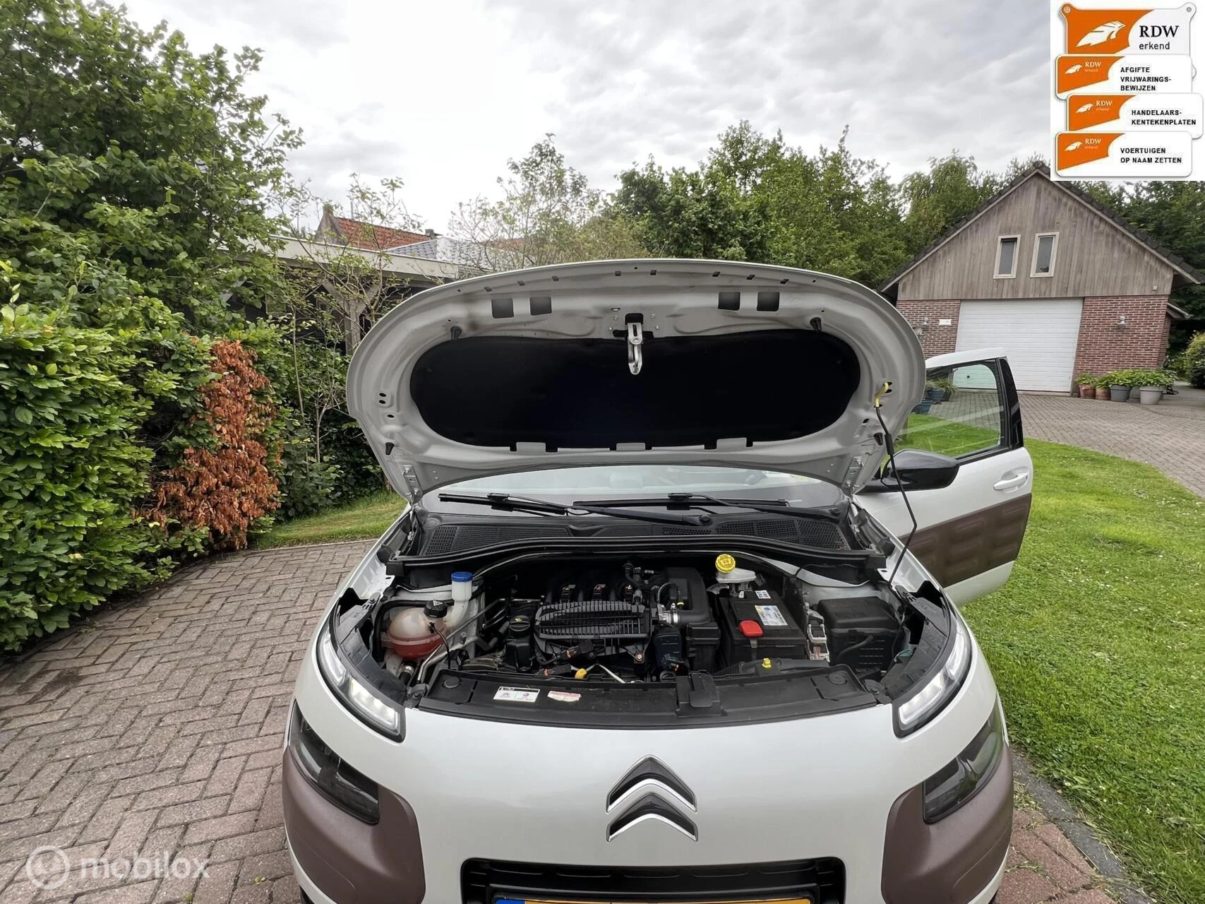Hoofdafbeelding Citroën C4 Cactus