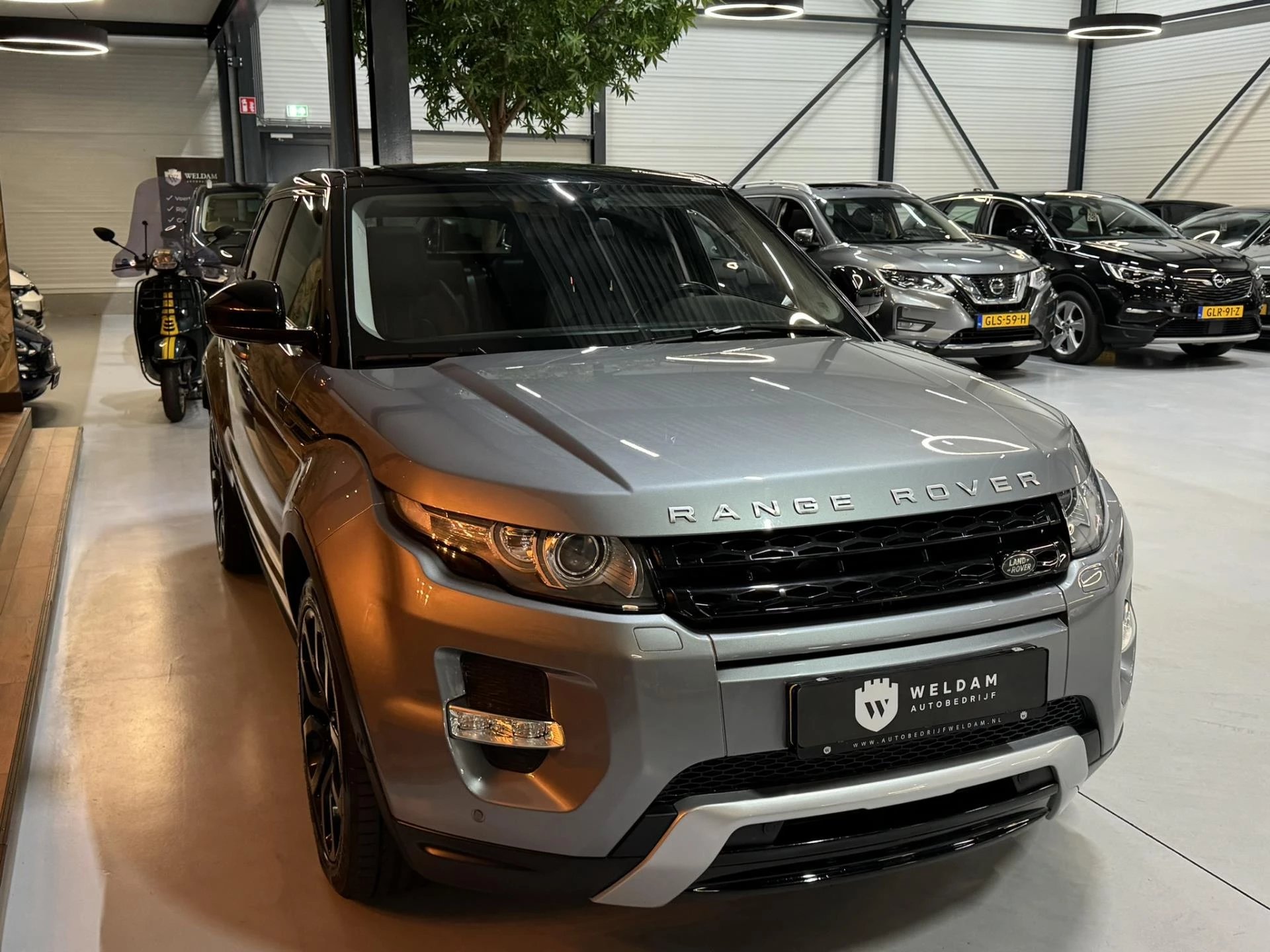 Hoofdafbeelding Land Rover Range Rover Evoque