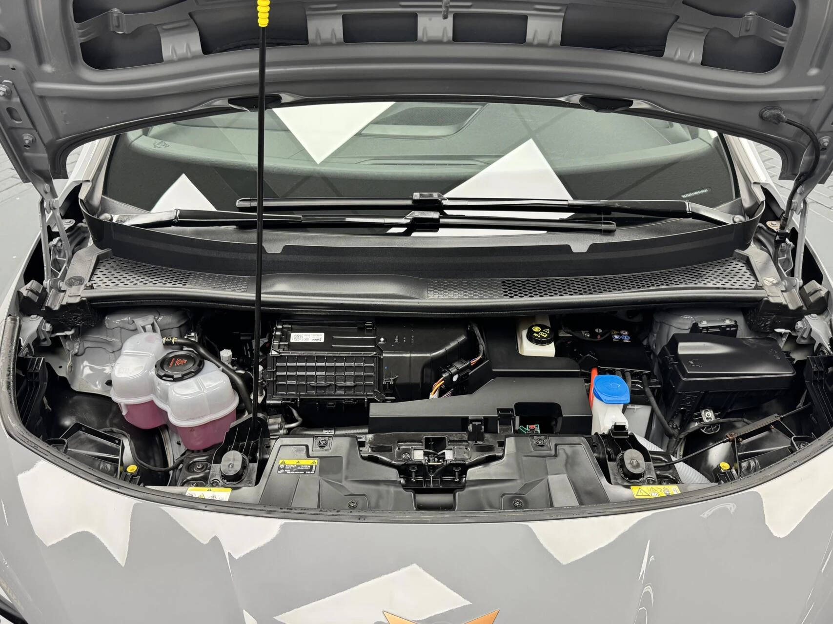 Hoofdafbeelding CUPRA Born