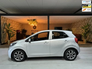 Hoofdafbeelding Kia Picanto Kia Picanto 1.2 CVVT Garantie StuurVW StoelVW Cruise Clima Navi LED PDC Rijklaar