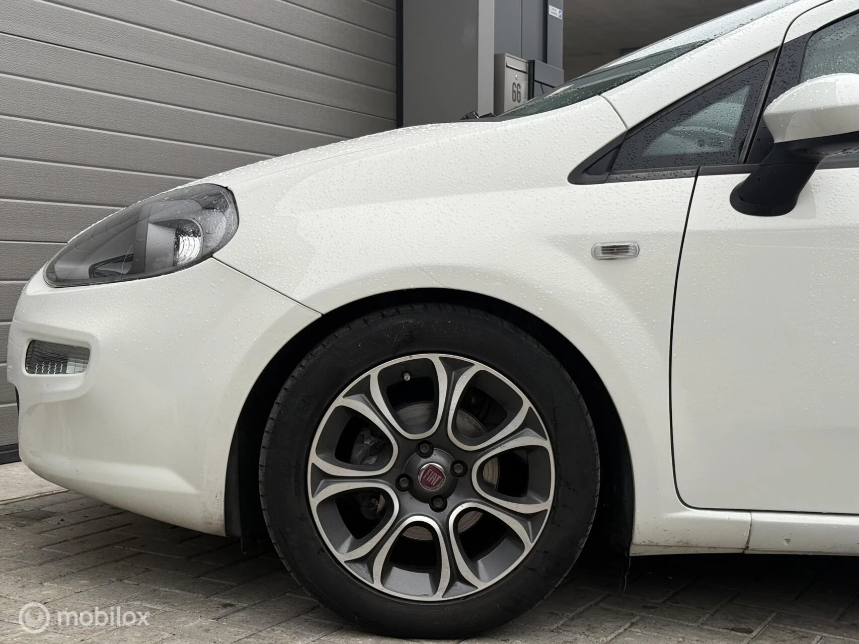Hoofdafbeelding Fiat Punto