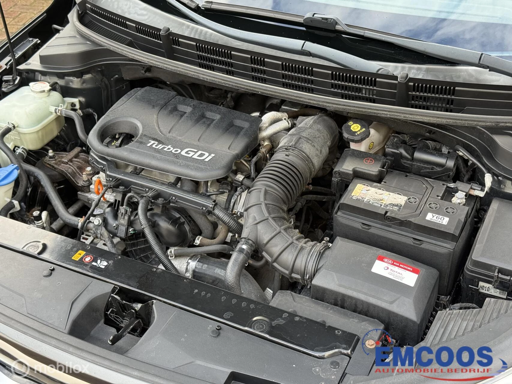 Hoofdafbeelding Kia Stonic