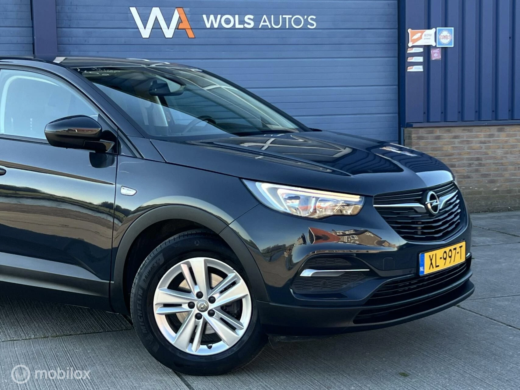 Hoofdafbeelding Opel Grandland X