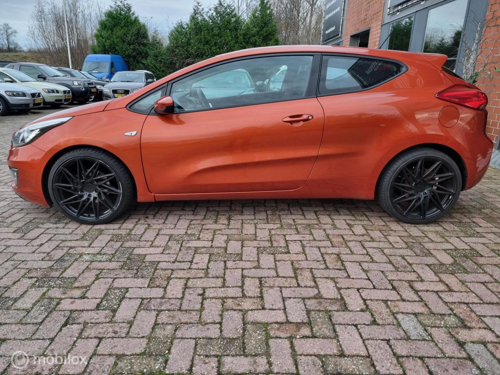 Hoofdafbeelding Kia pro_cee'd