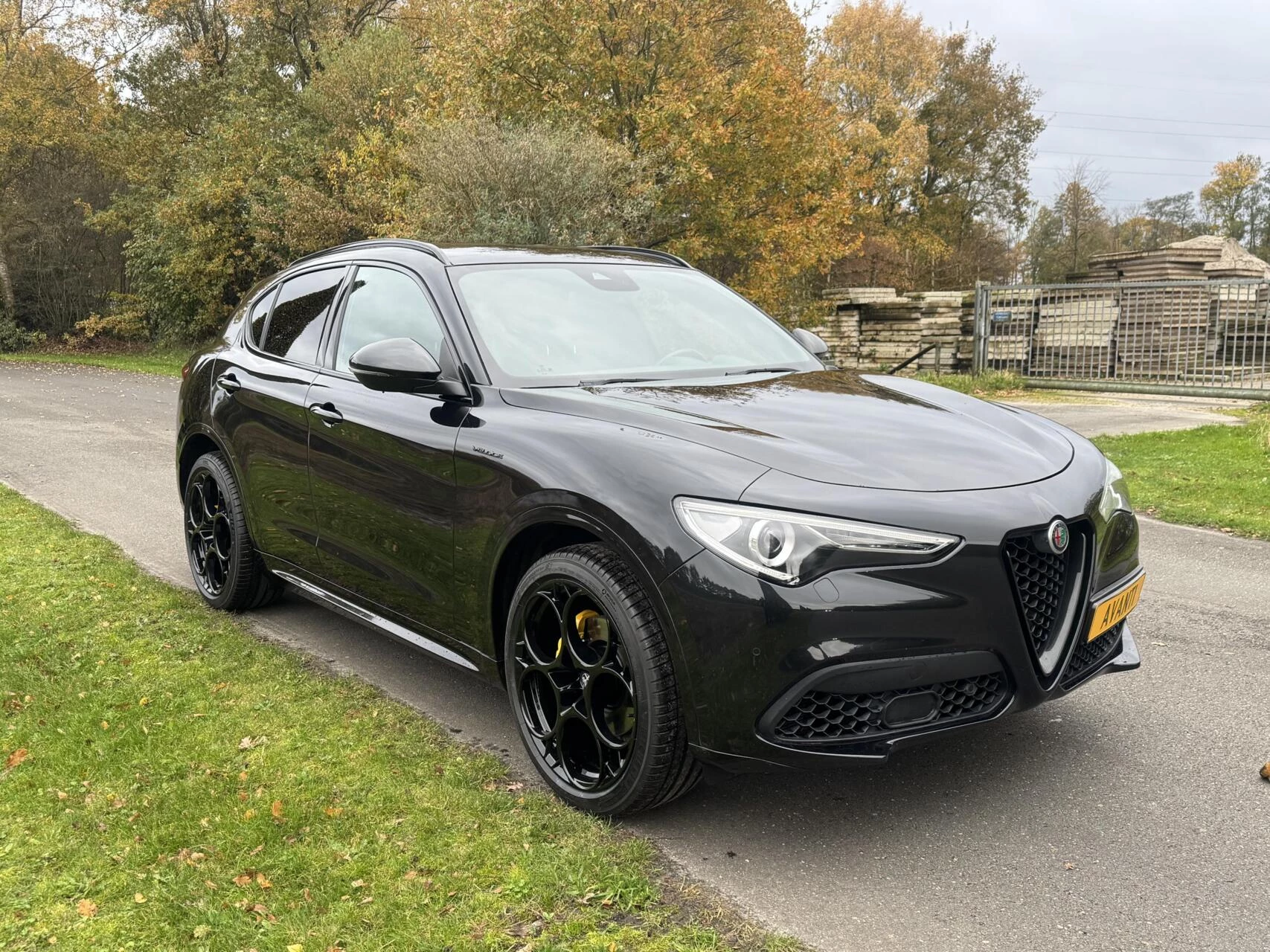 Hoofdafbeelding Alfa Romeo Stelvio