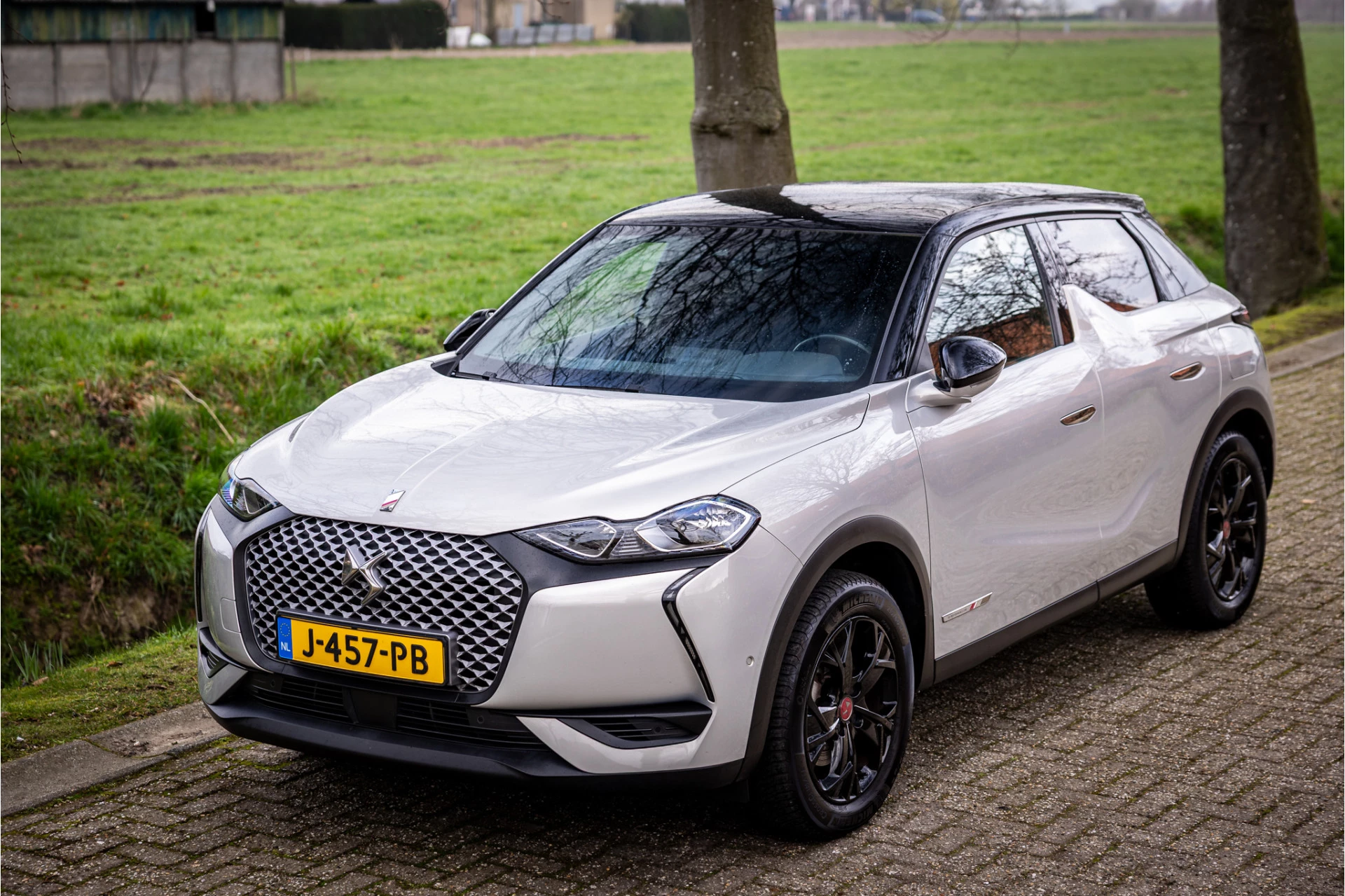 Hoofdafbeelding DS DS 3