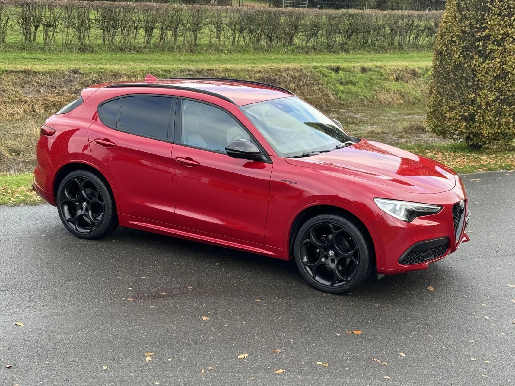 Hoofdafbeelding Alfa Romeo Stelvio