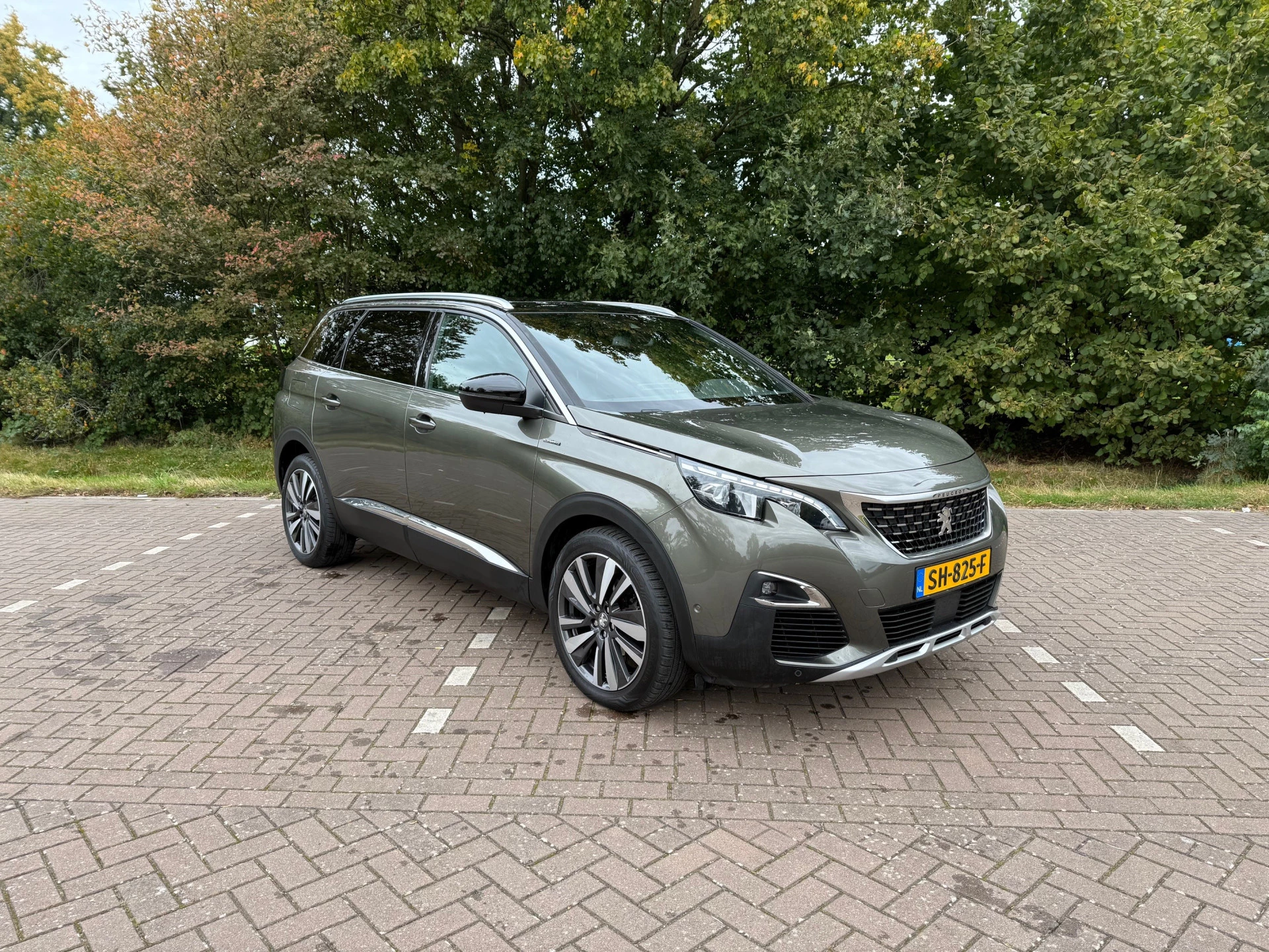 Hoofdafbeelding Peugeot 5008
