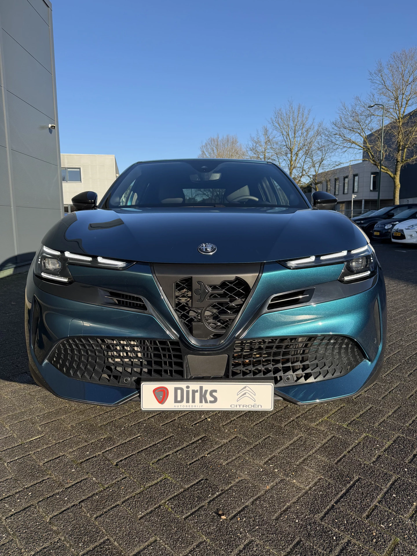 Hoofdafbeelding Alfa Romeo Junior