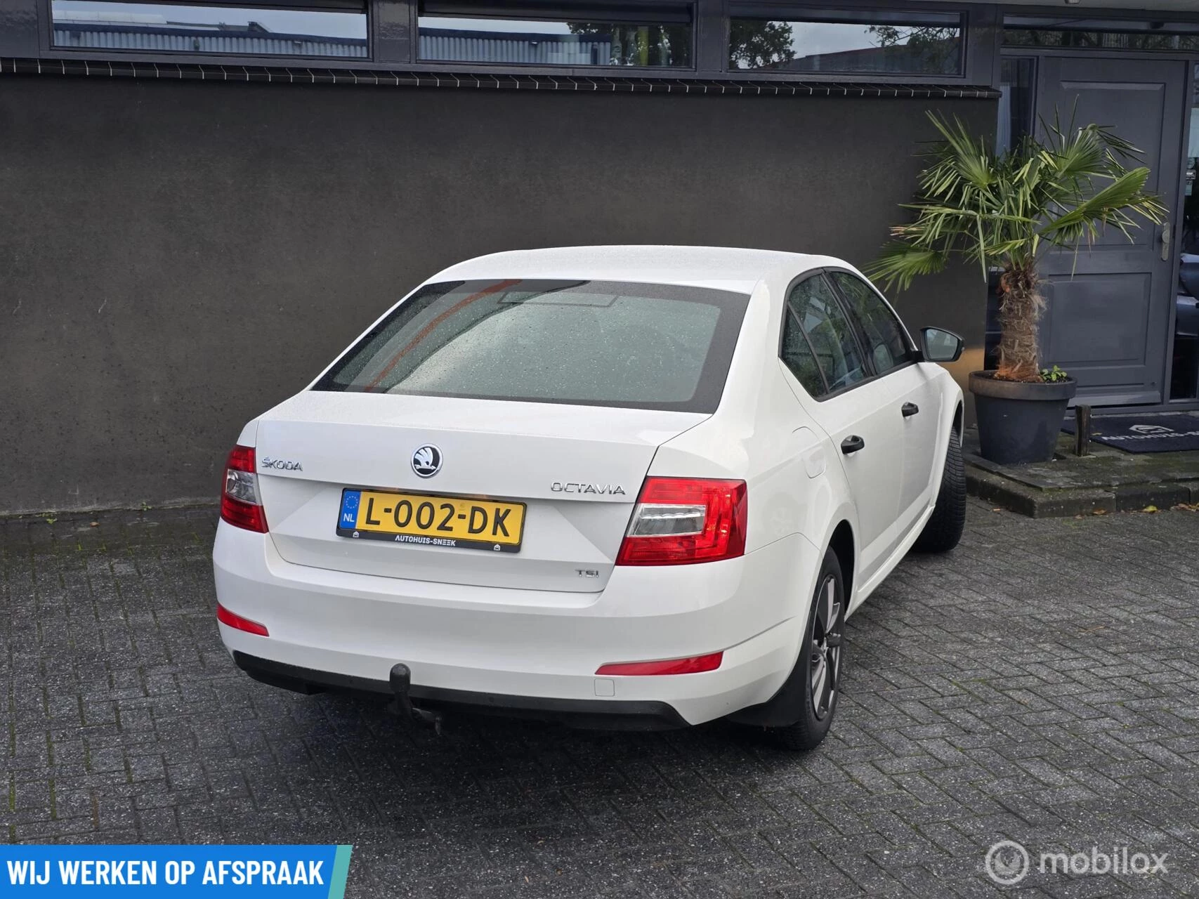 Hoofdafbeelding Škoda Octavia