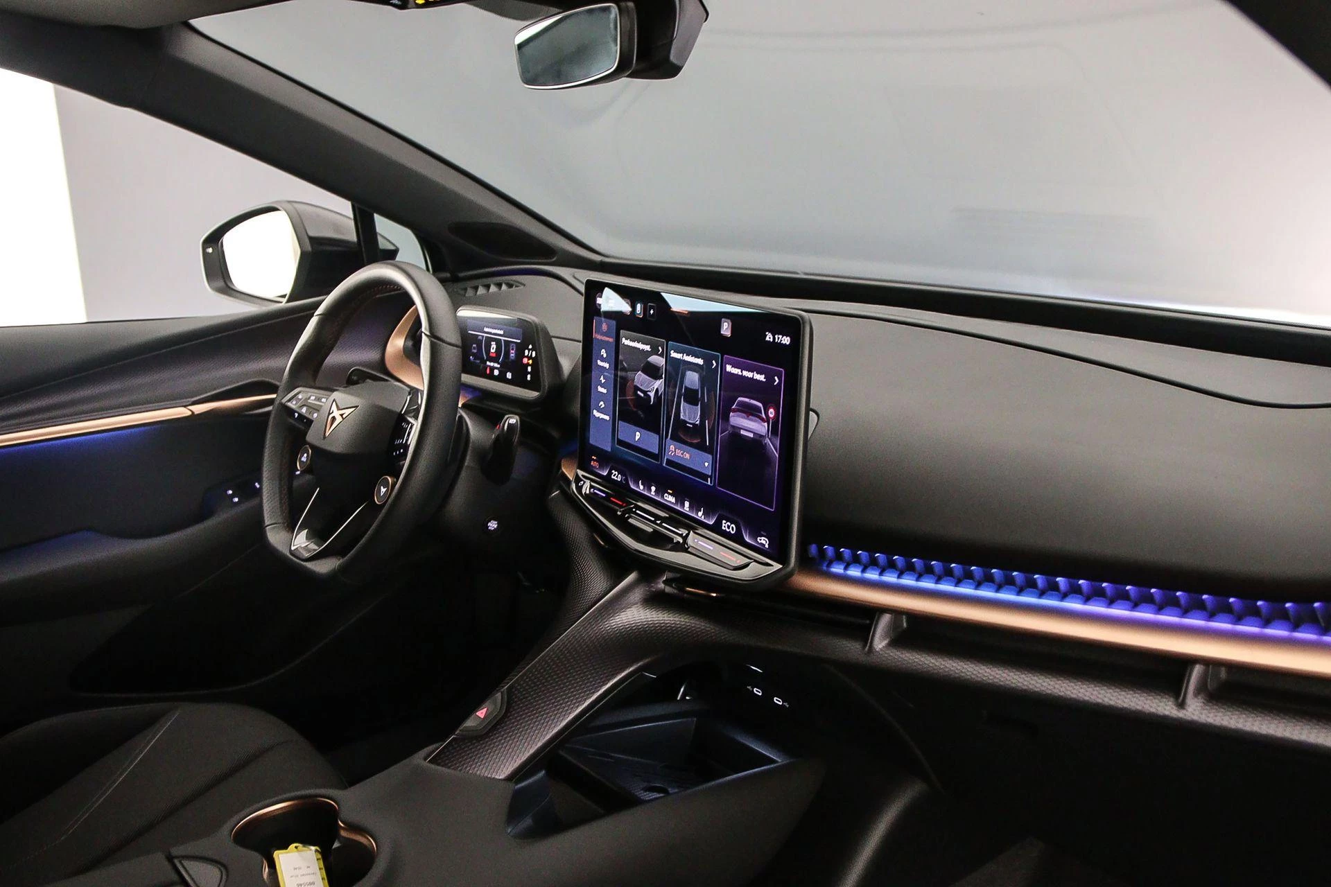 Hoofdafbeelding CUPRA Tavascan