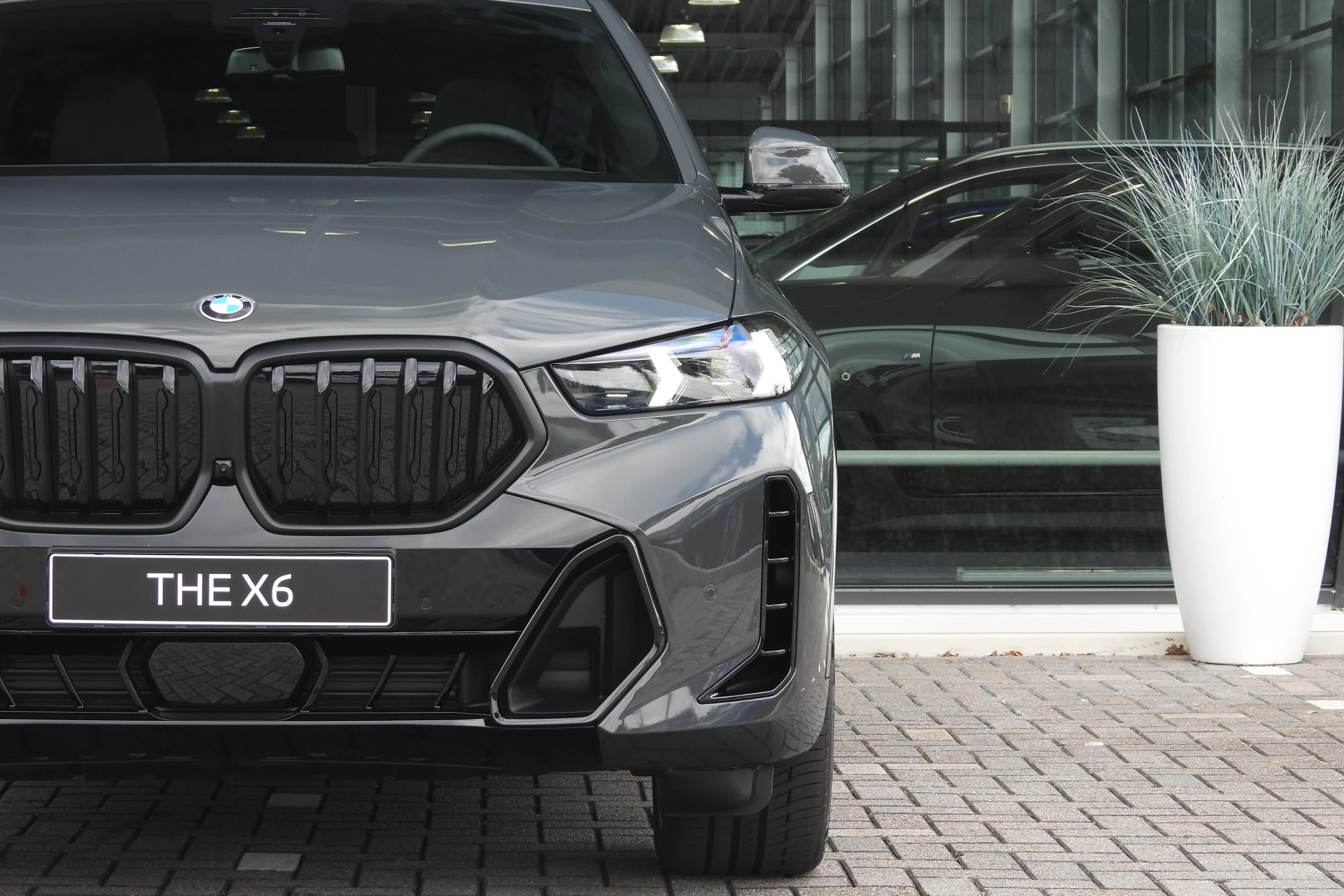Hoofdafbeelding BMW X6