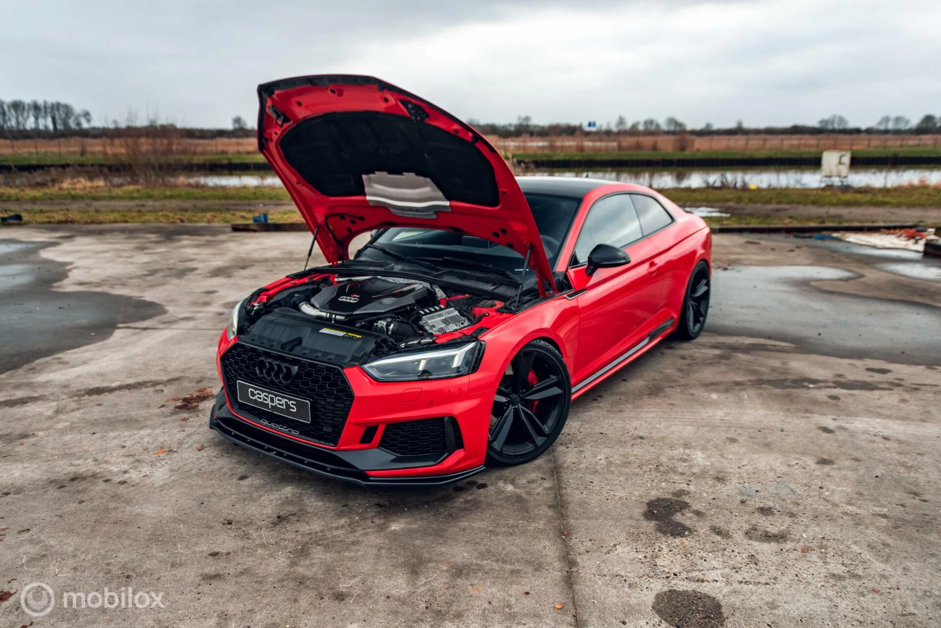 Hoofdafbeelding Audi RS5