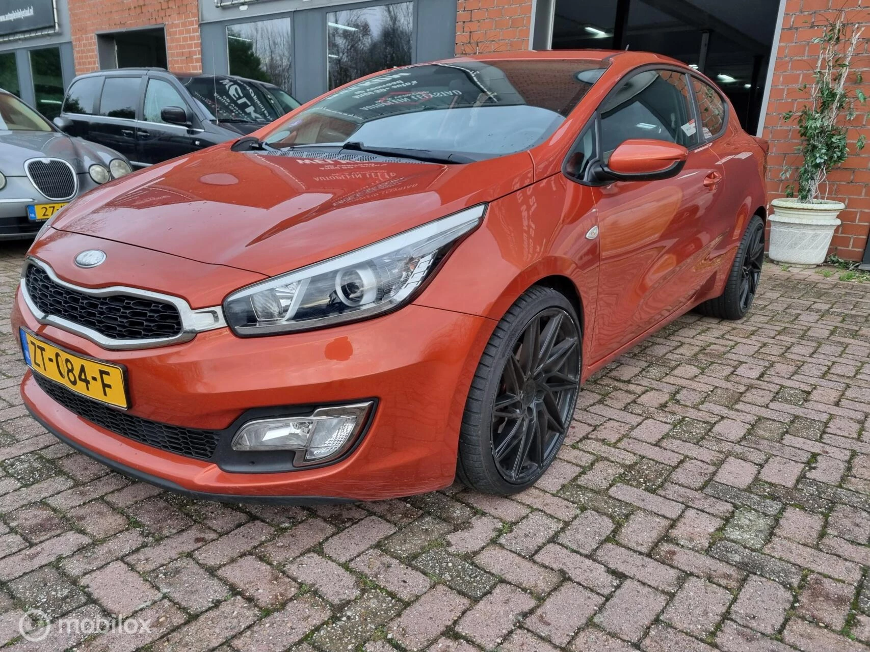Hoofdafbeelding Kia pro_cee'd