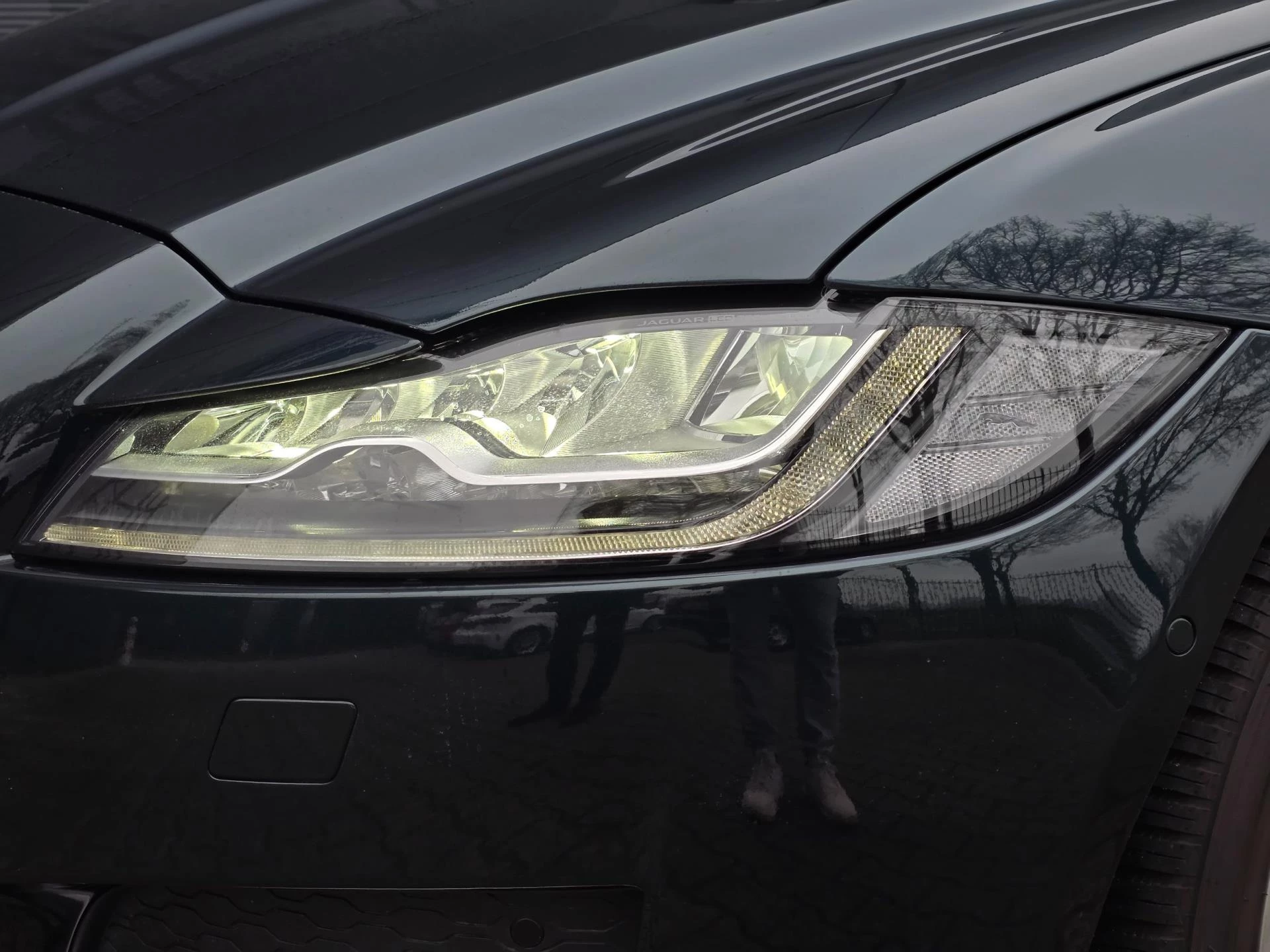 Hoofdafbeelding Jaguar XF