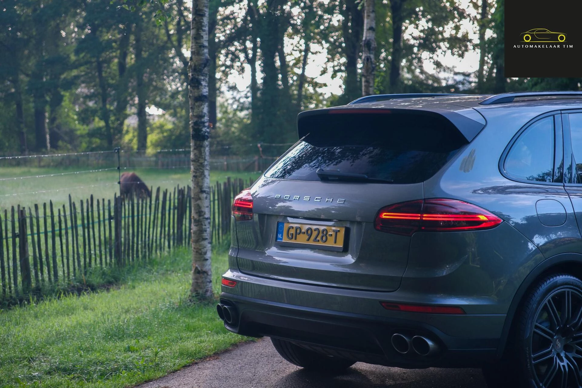 Hoofdafbeelding Porsche Cayenne