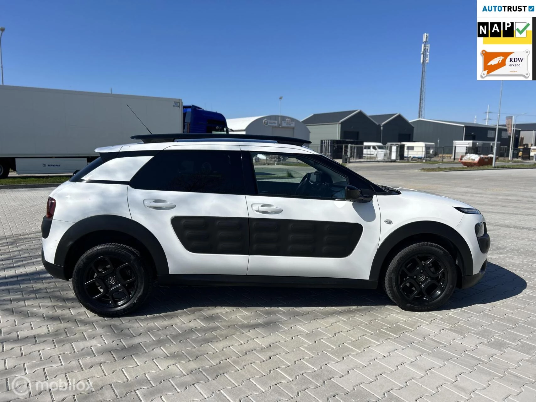 Hoofdafbeelding Citroën C4 Cactus
