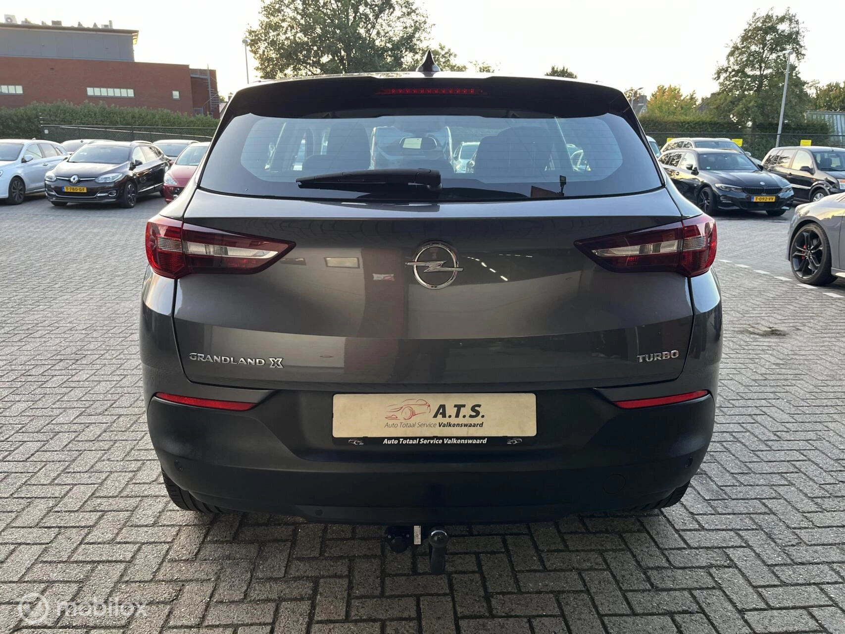 Hoofdafbeelding Opel Grandland X