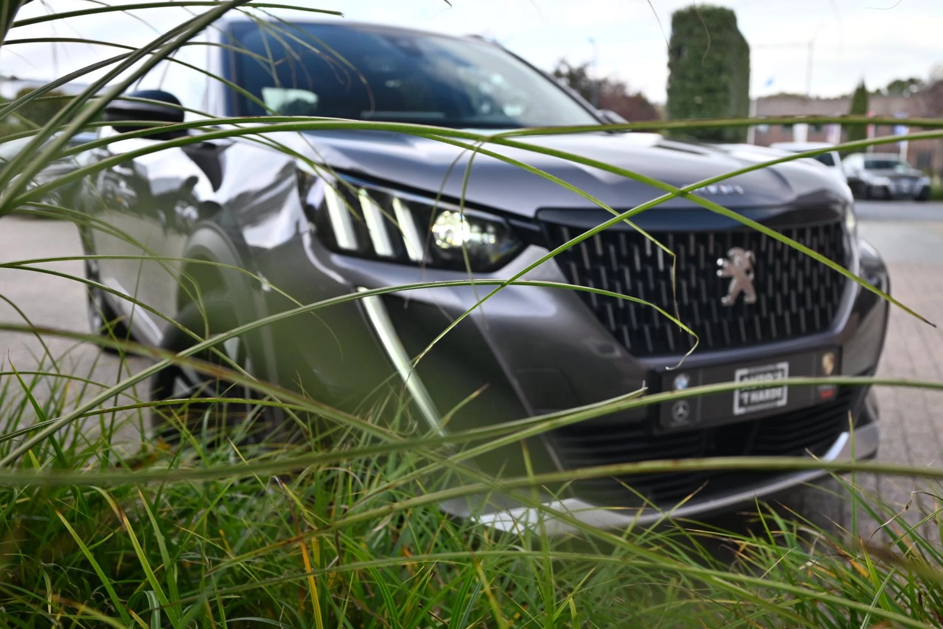 Hoofdafbeelding Peugeot 2008