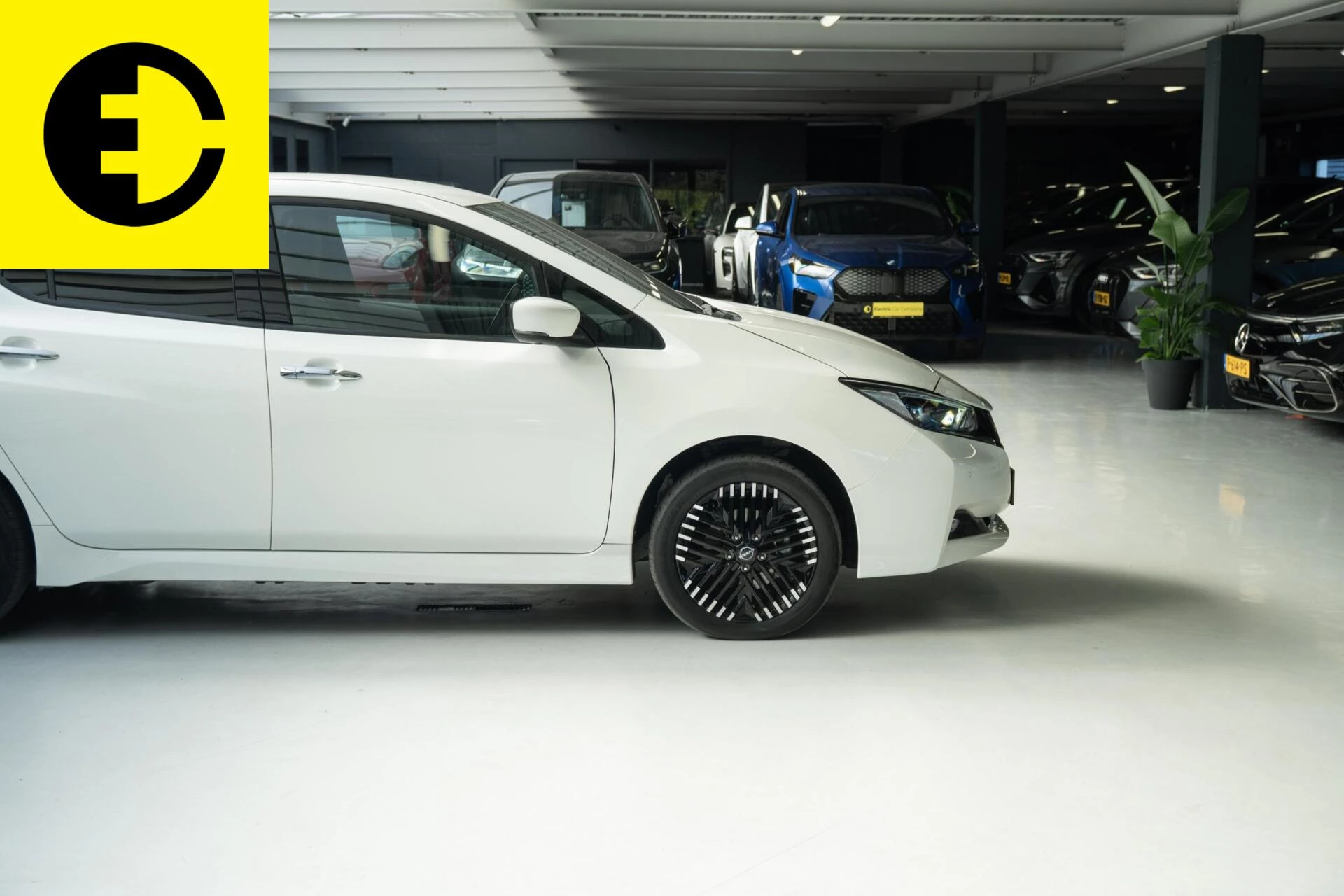 Hoofdafbeelding Nissan Leaf