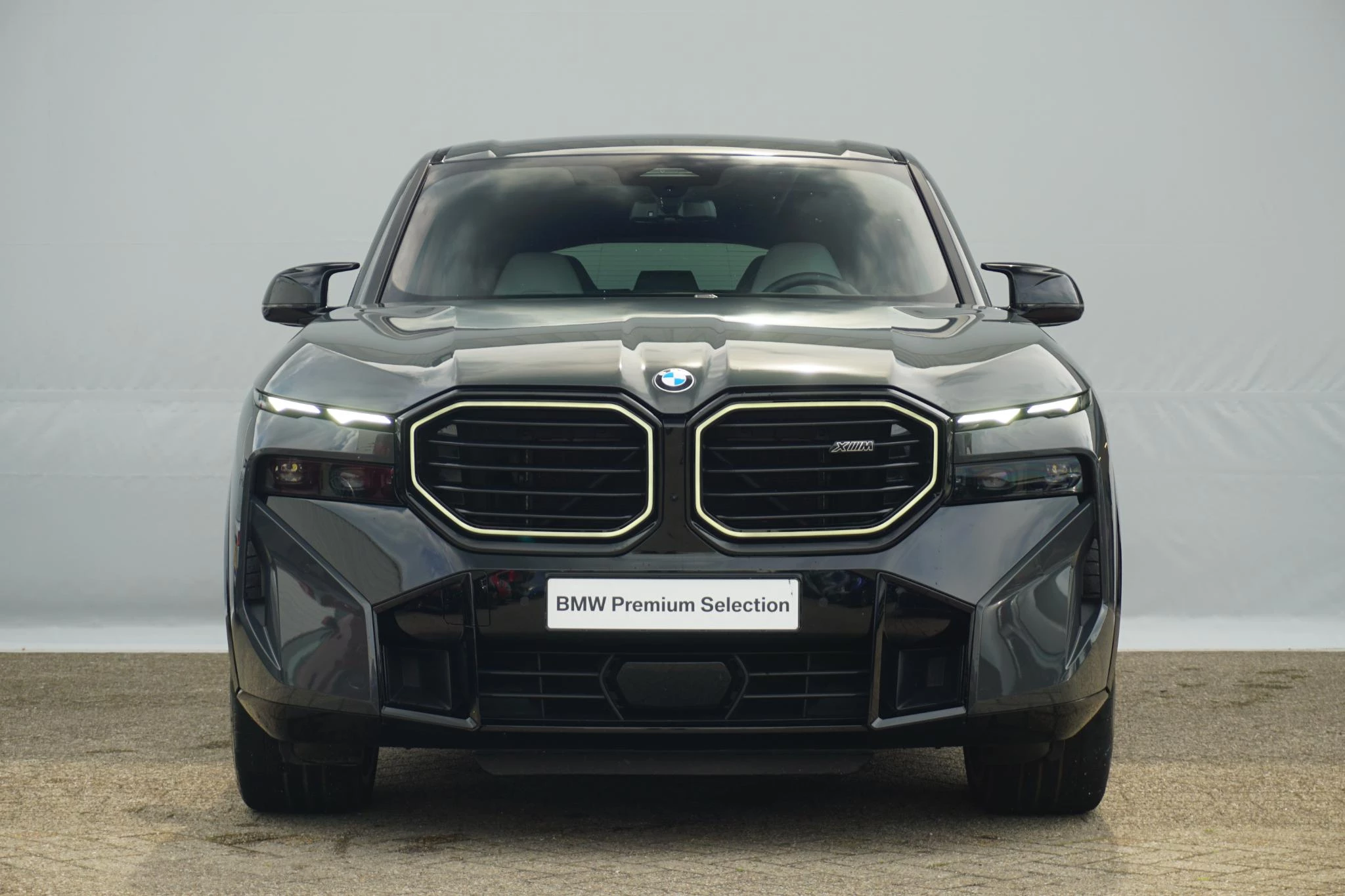 Hoofdafbeelding BMW XM