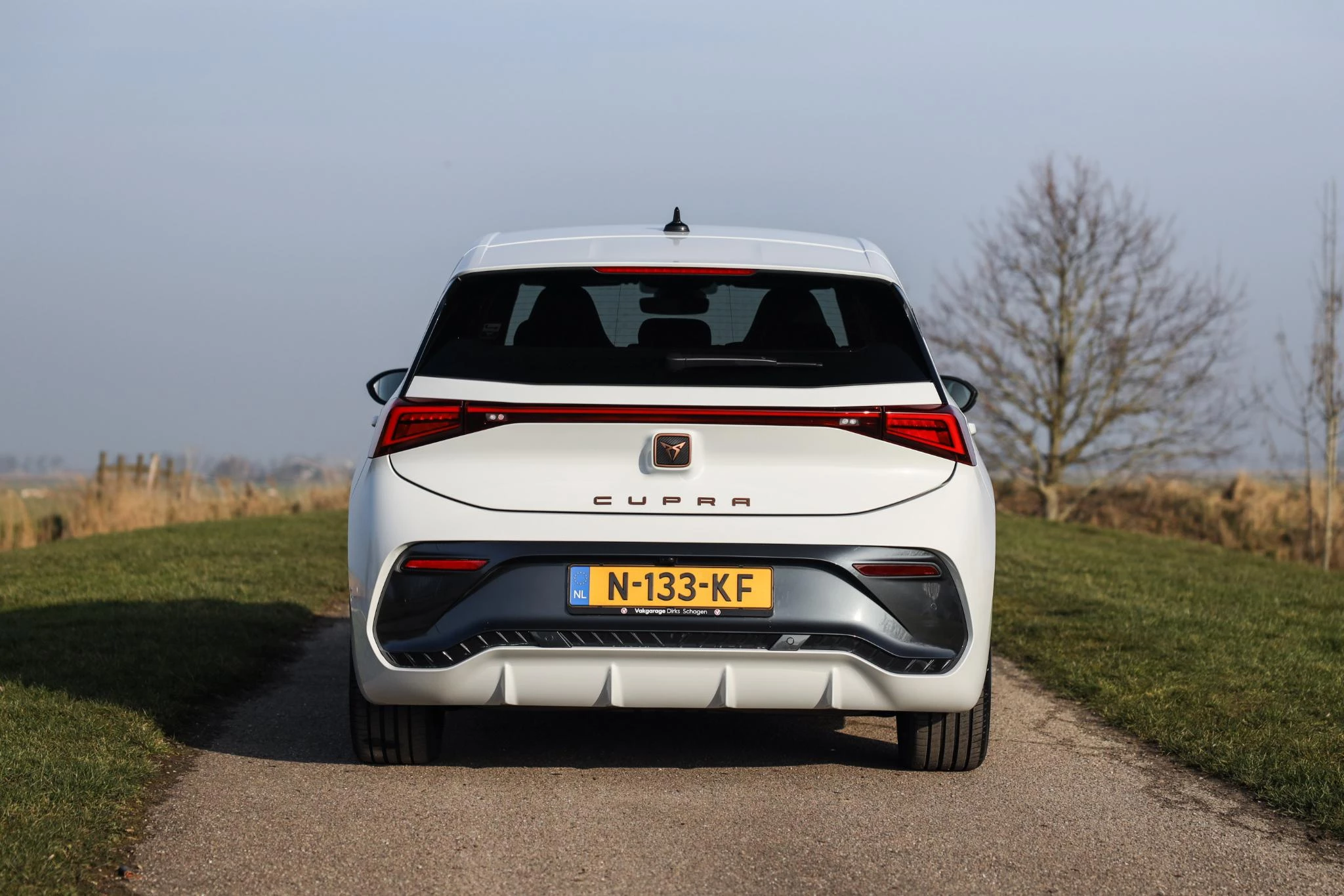 Hoofdafbeelding CUPRA Born