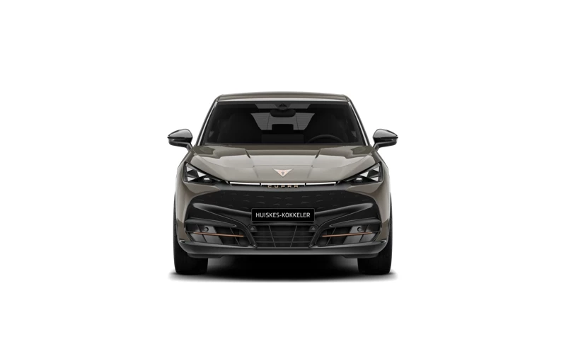 Hoofdafbeelding CUPRA Tavascan