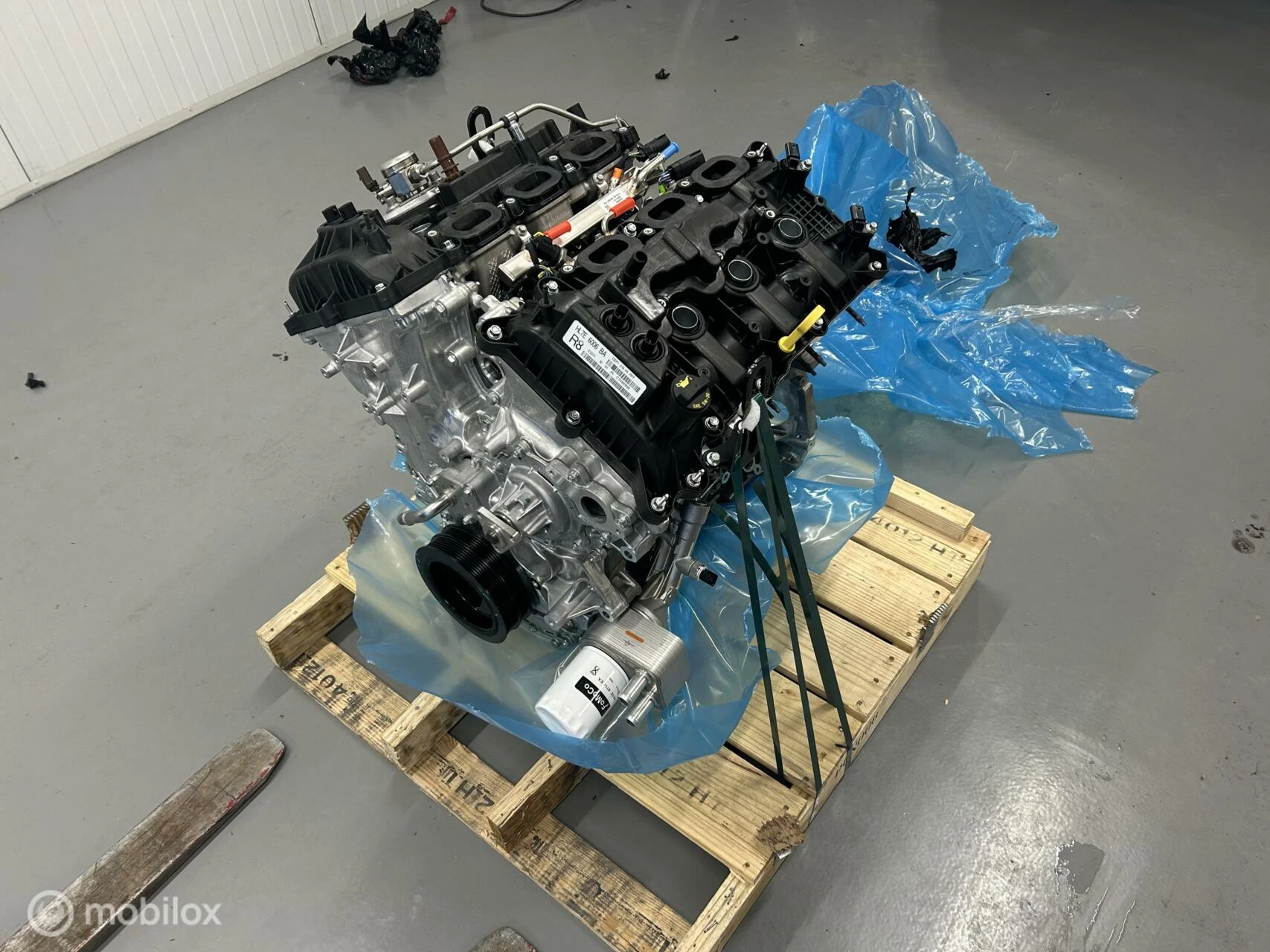 Hoofdafbeelding Ford Raptor