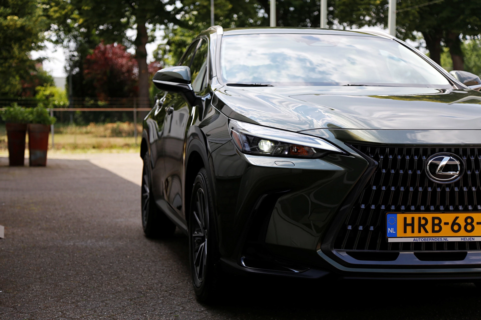 Hoofdafbeelding Lexus NX