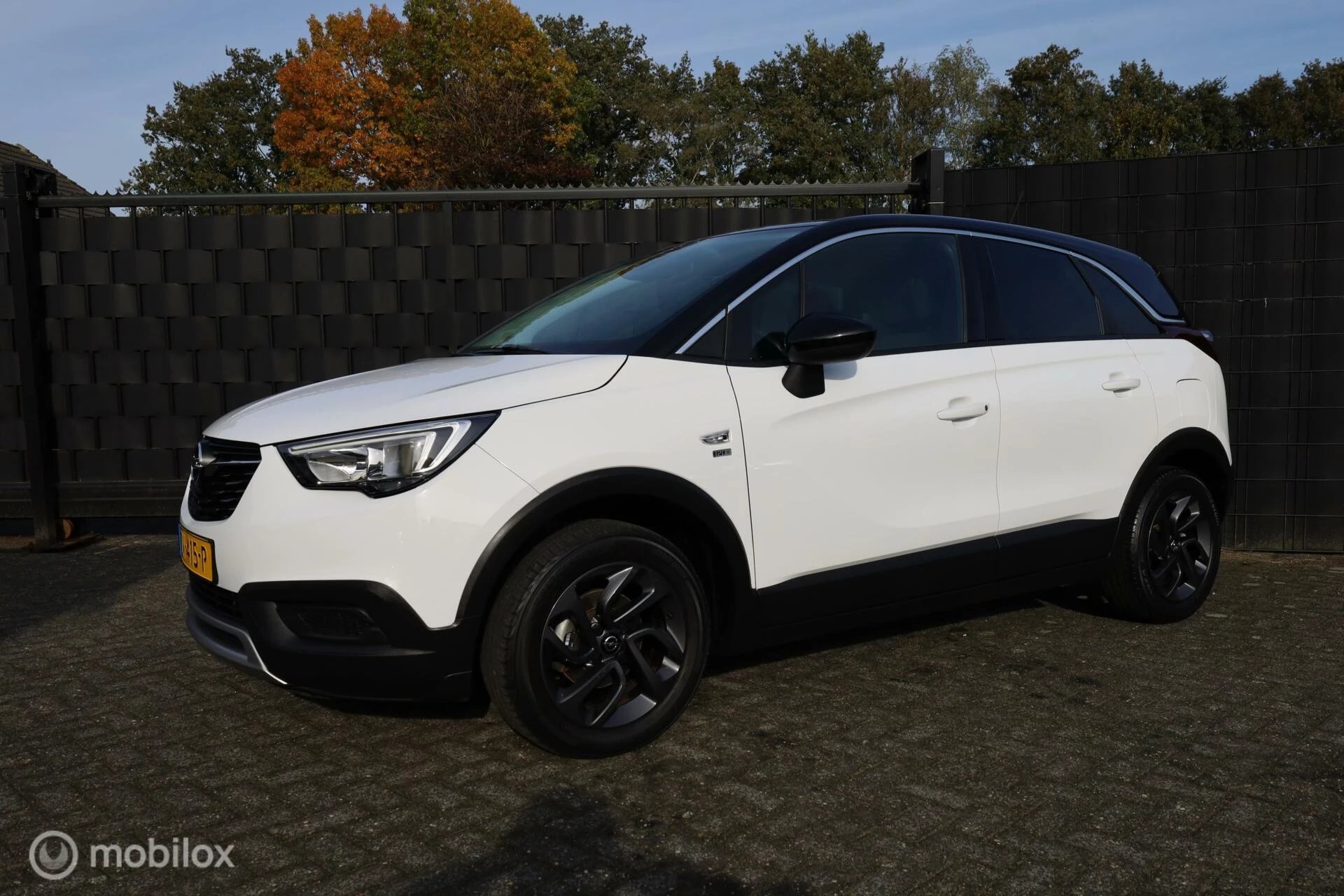 Hoofdafbeelding Opel Crossland X