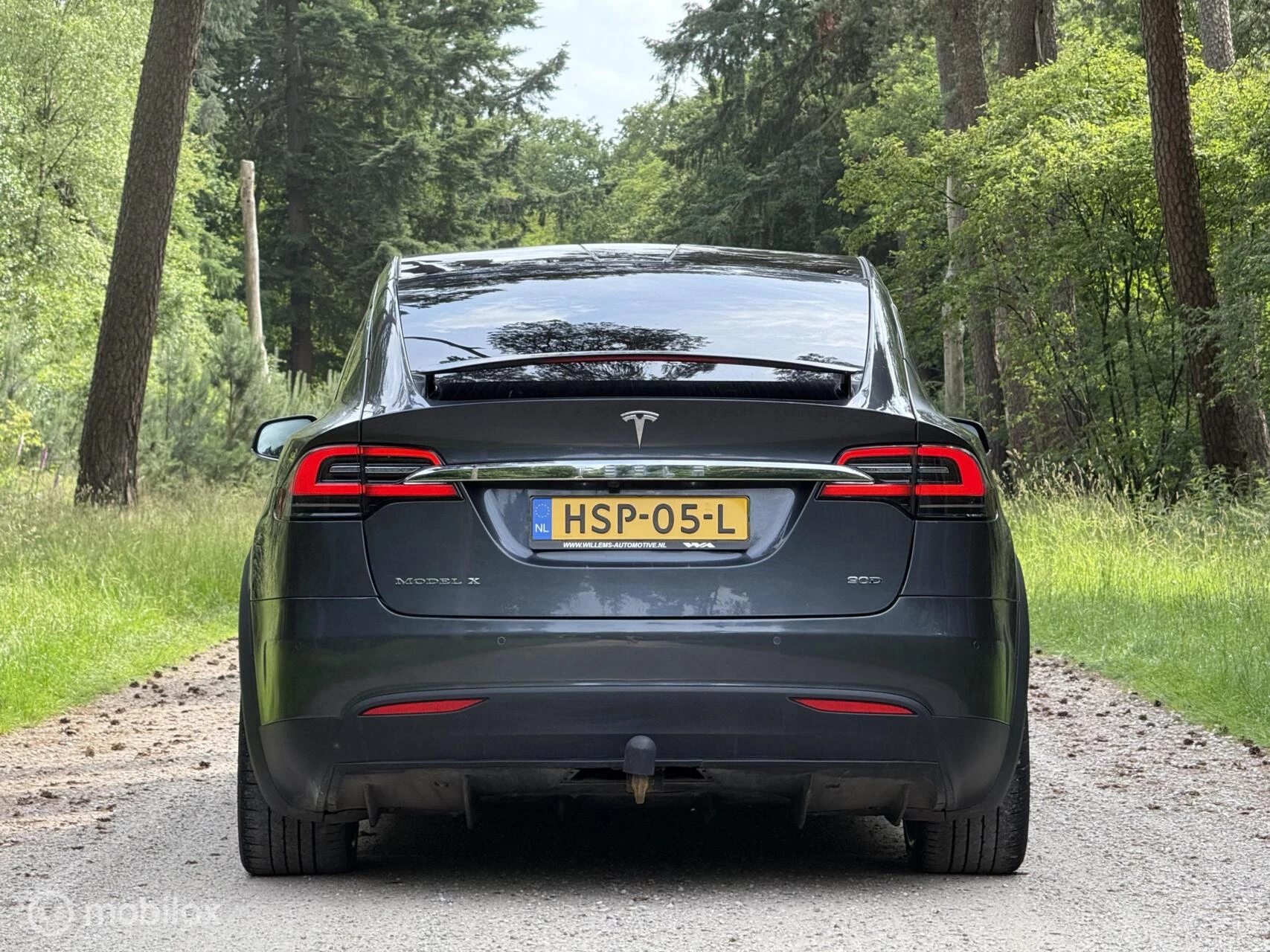 Hoofdafbeelding Tesla Model X
