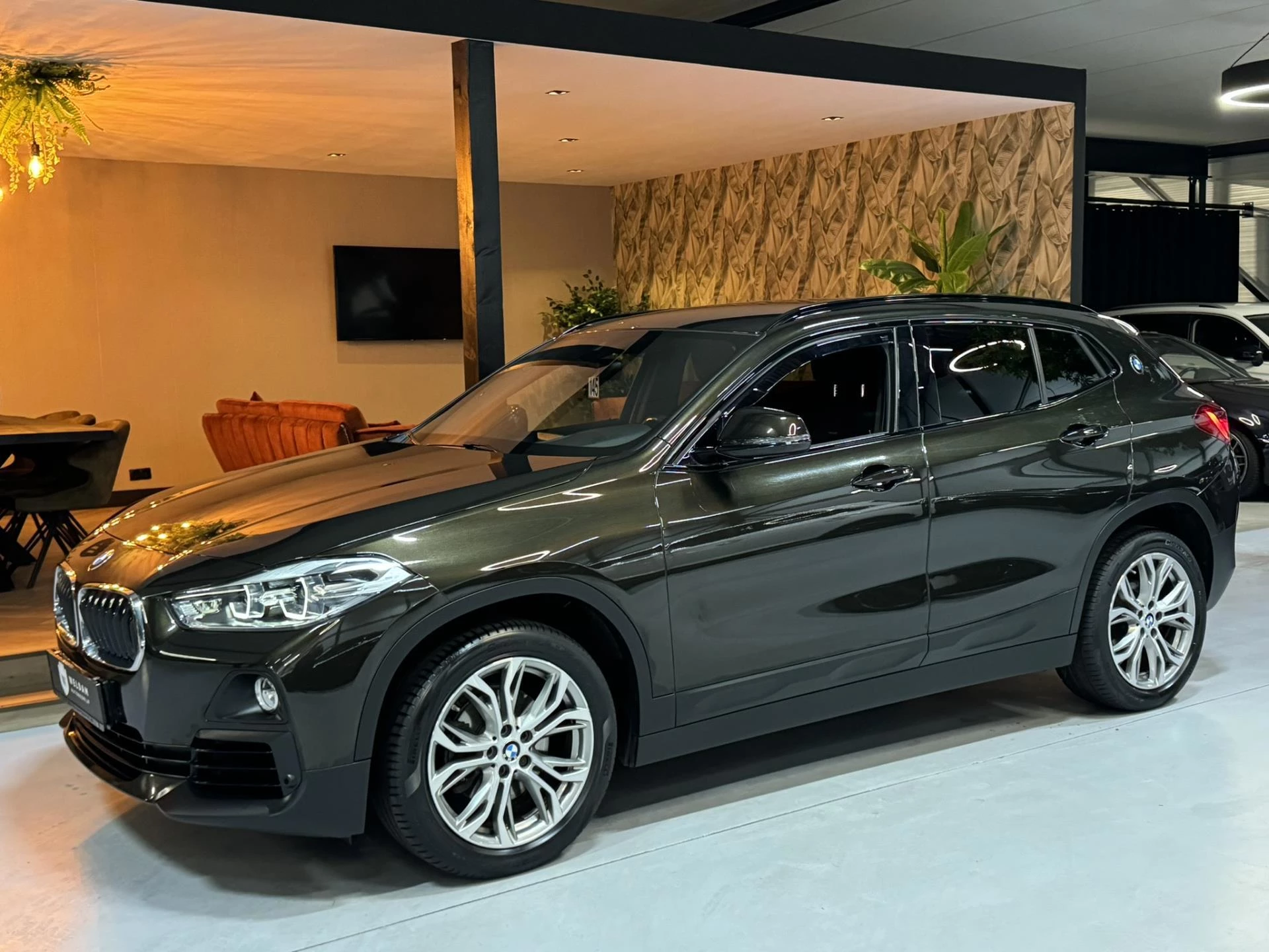 Hoofdafbeelding BMW X2