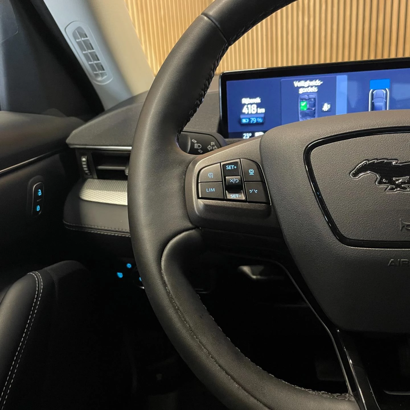 Hoofdafbeelding Ford Mustang Mach-E