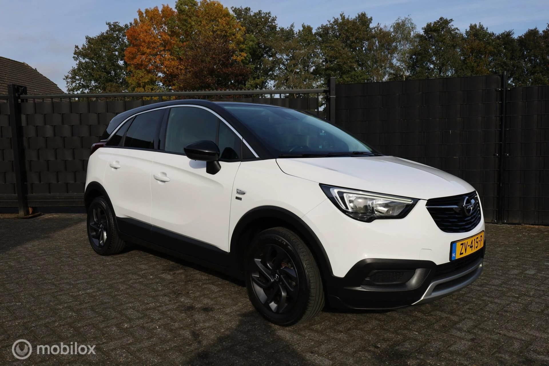 Hoofdafbeelding Opel Crossland X