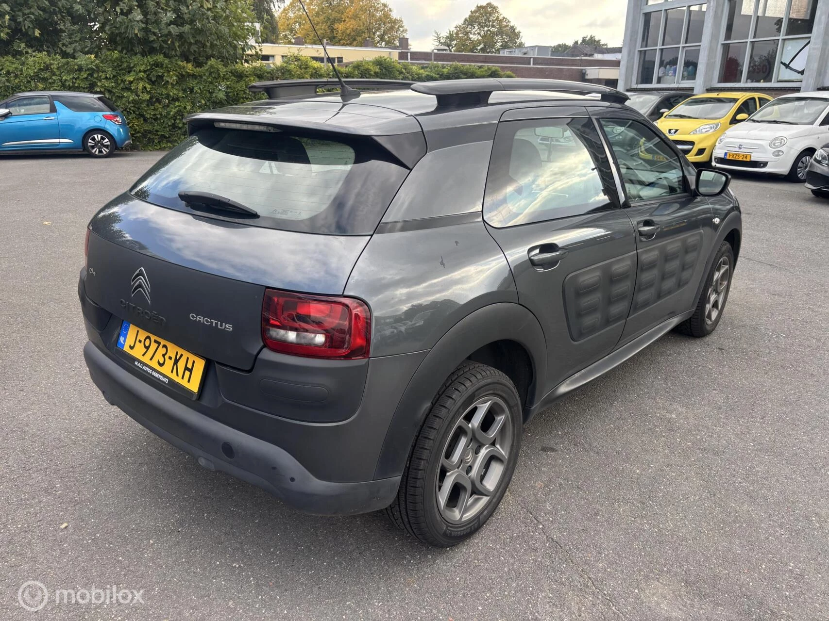 Hoofdafbeelding Citroën C4 Cactus