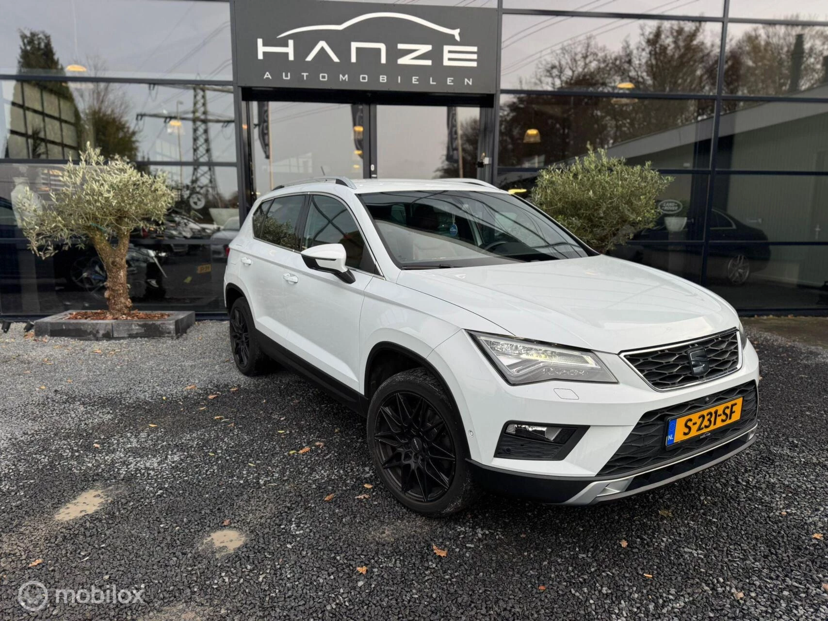 Hoofdafbeelding SEAT Ateca