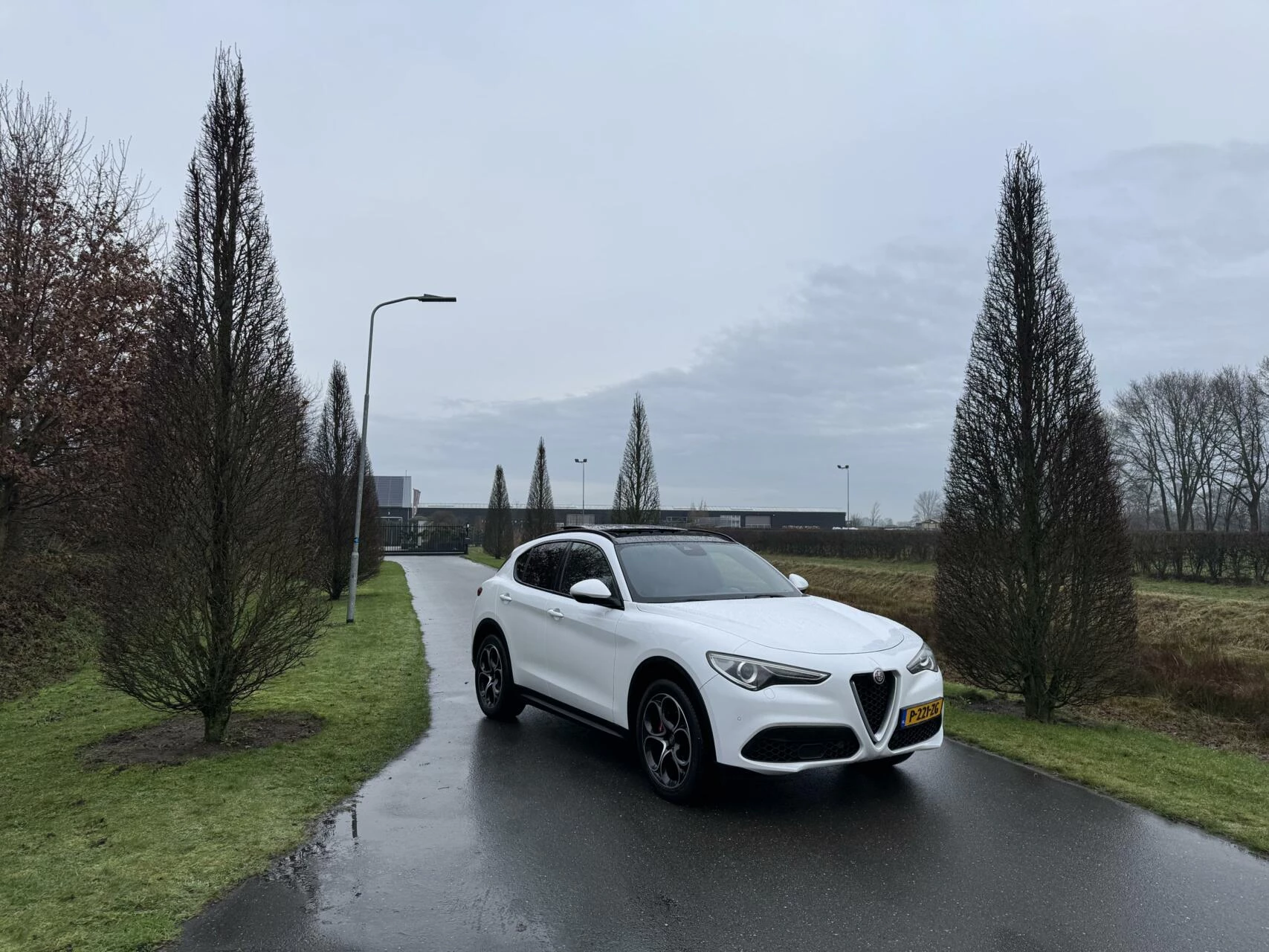 Hoofdafbeelding Alfa Romeo Stelvio