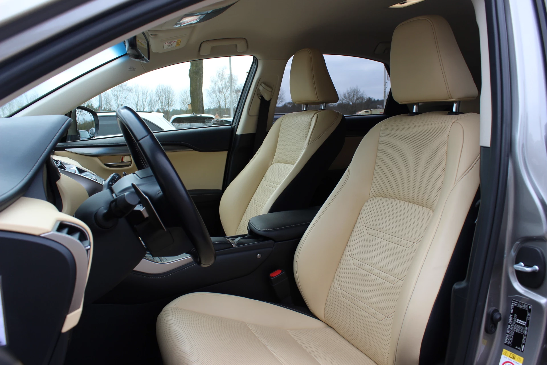 Hoofdafbeelding Lexus NX