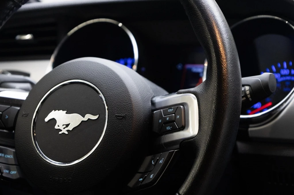 Hoofdafbeelding Ford Mustang