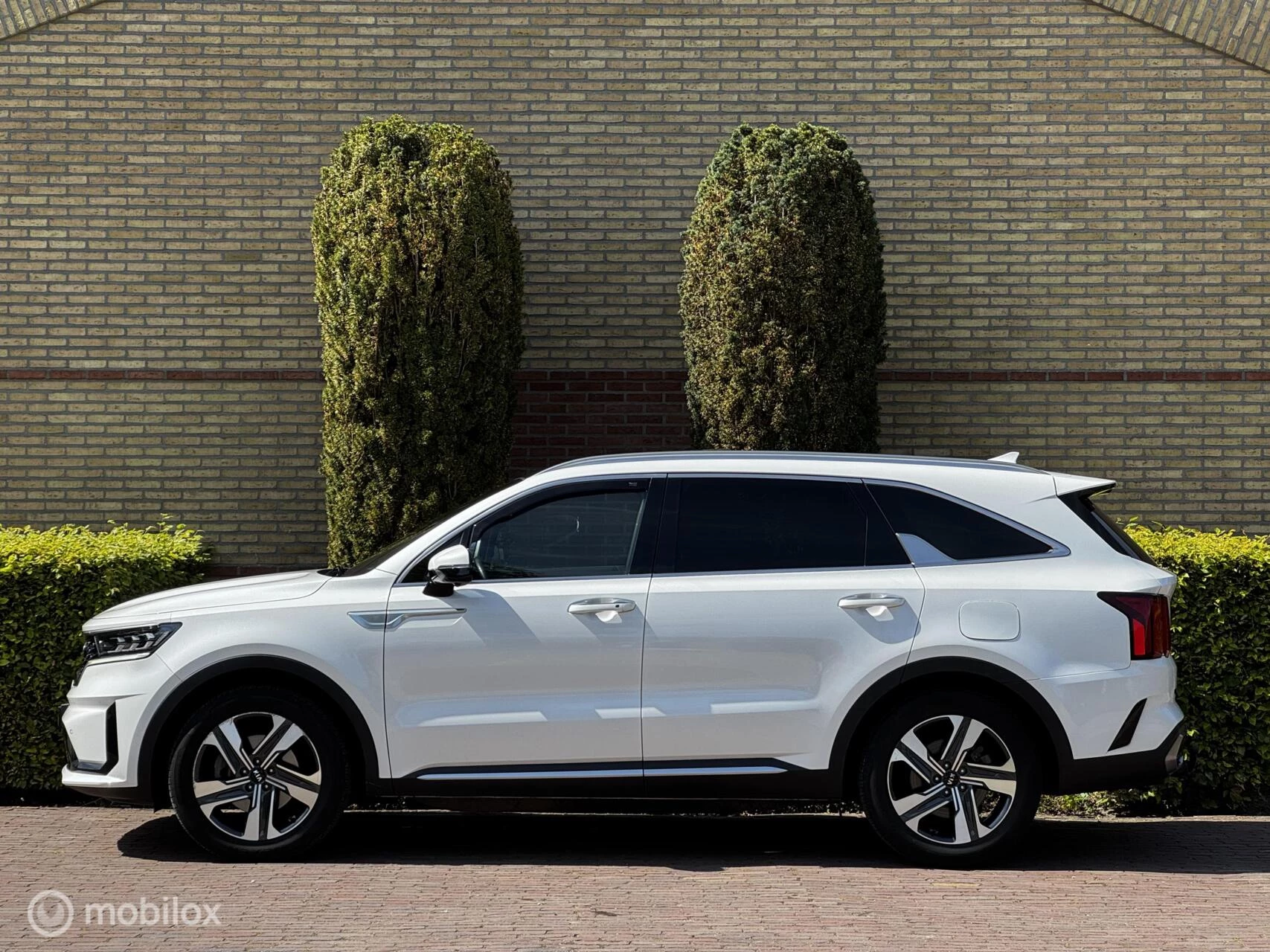 Hoofdafbeelding Kia Sorento