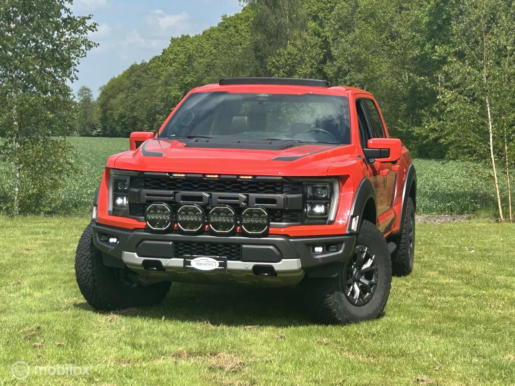 Hoofdafbeelding Ford F-150