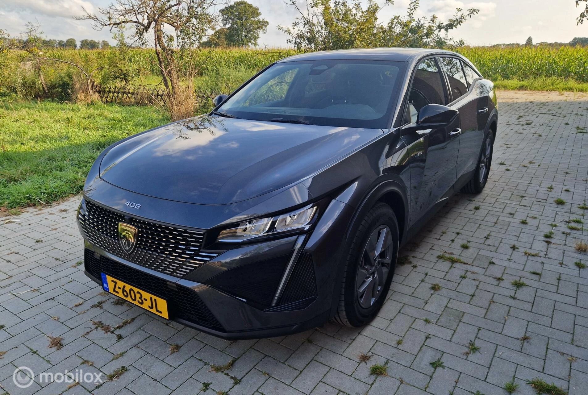 Hoofdafbeelding Peugeot 408