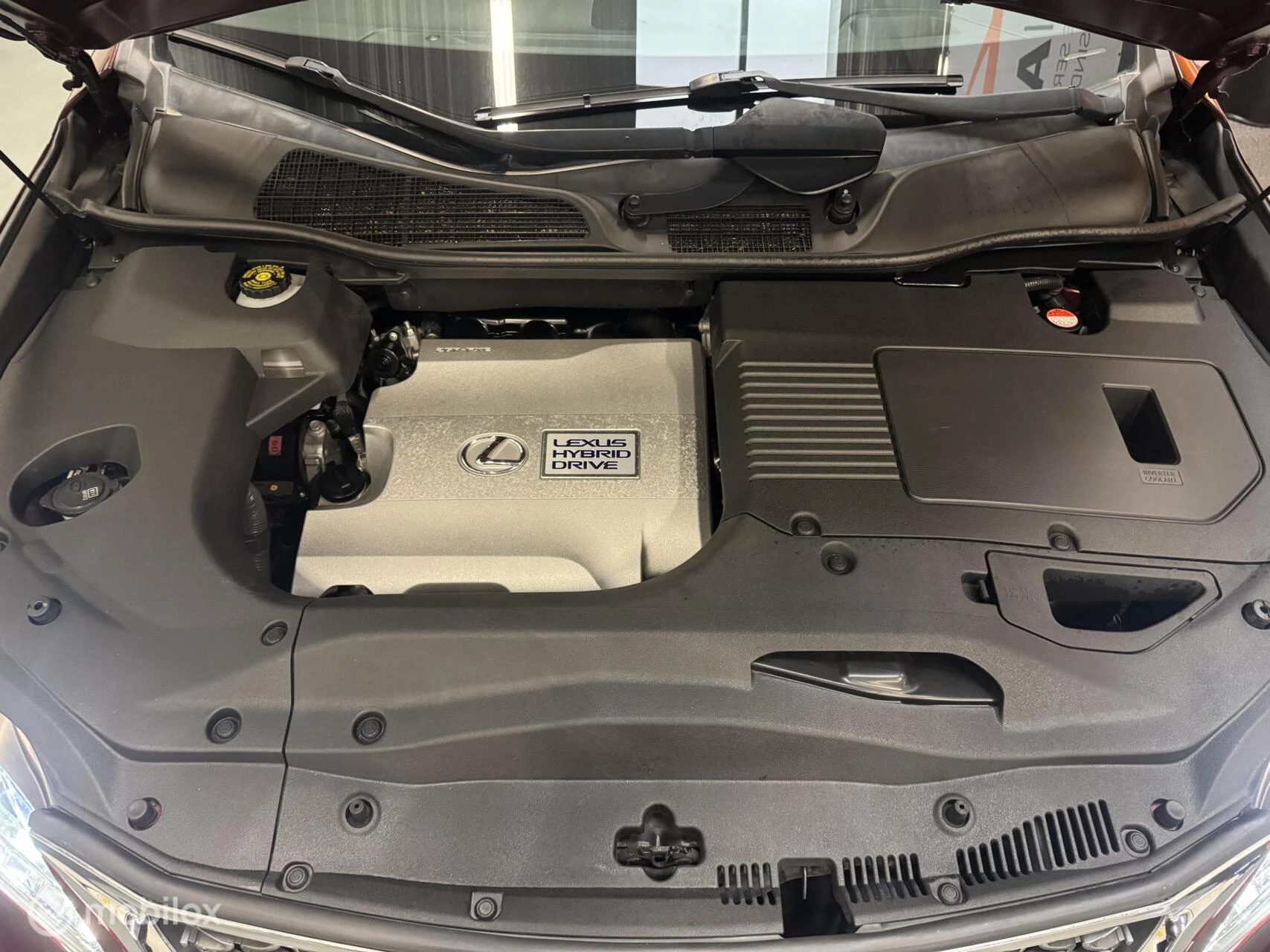 Hoofdafbeelding Lexus RX