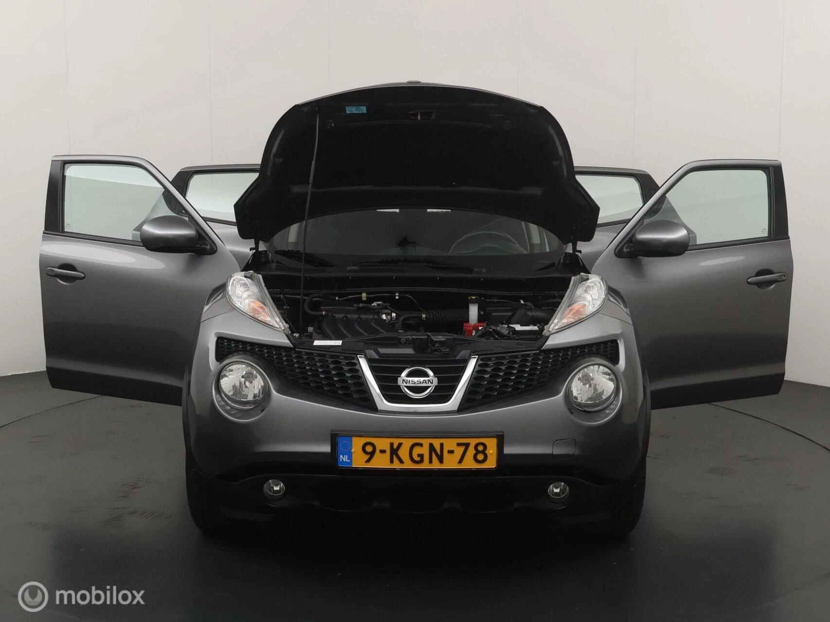 Hoofdafbeelding Nissan Juke