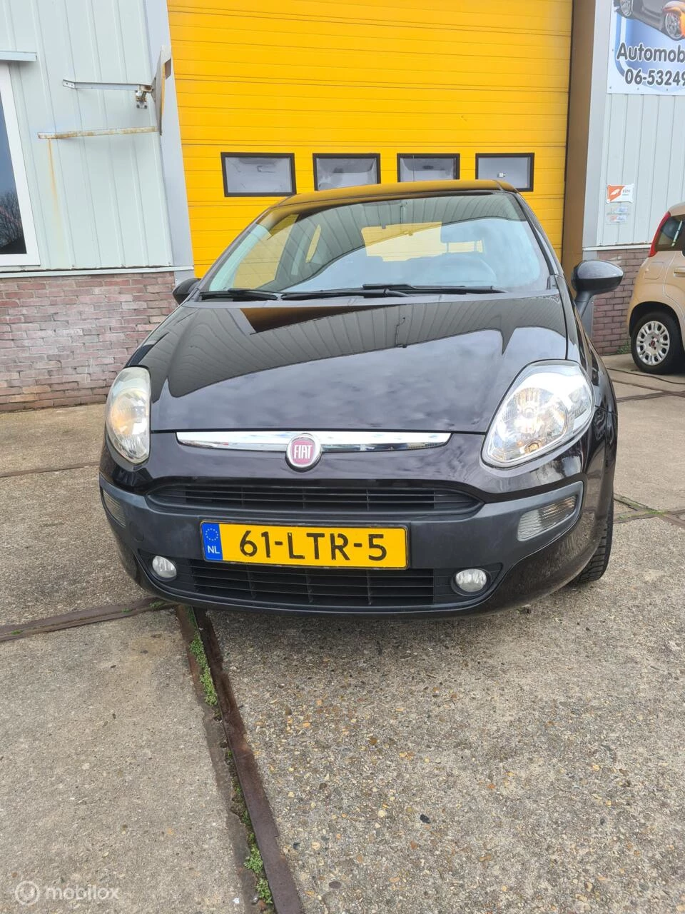 Hoofdafbeelding Fiat Punto
