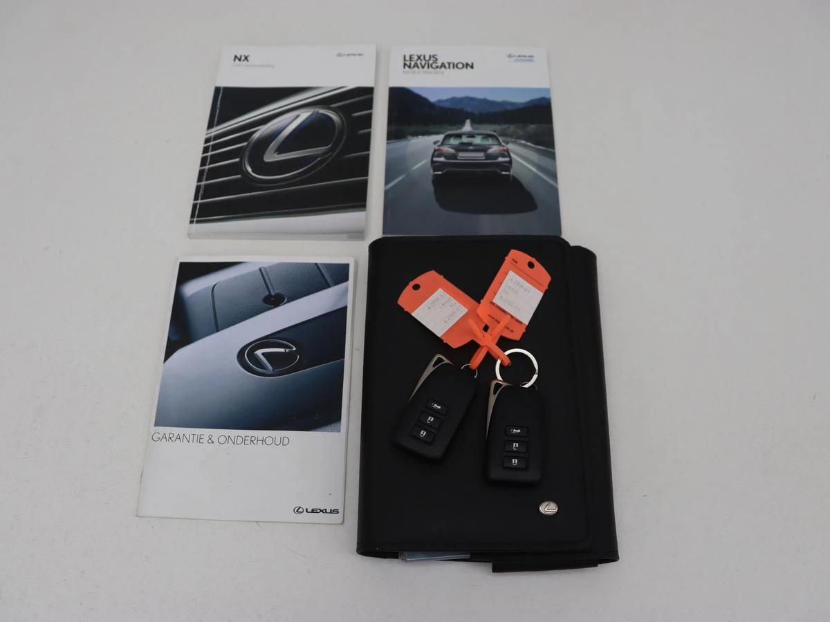 Hoofdafbeelding Lexus NX