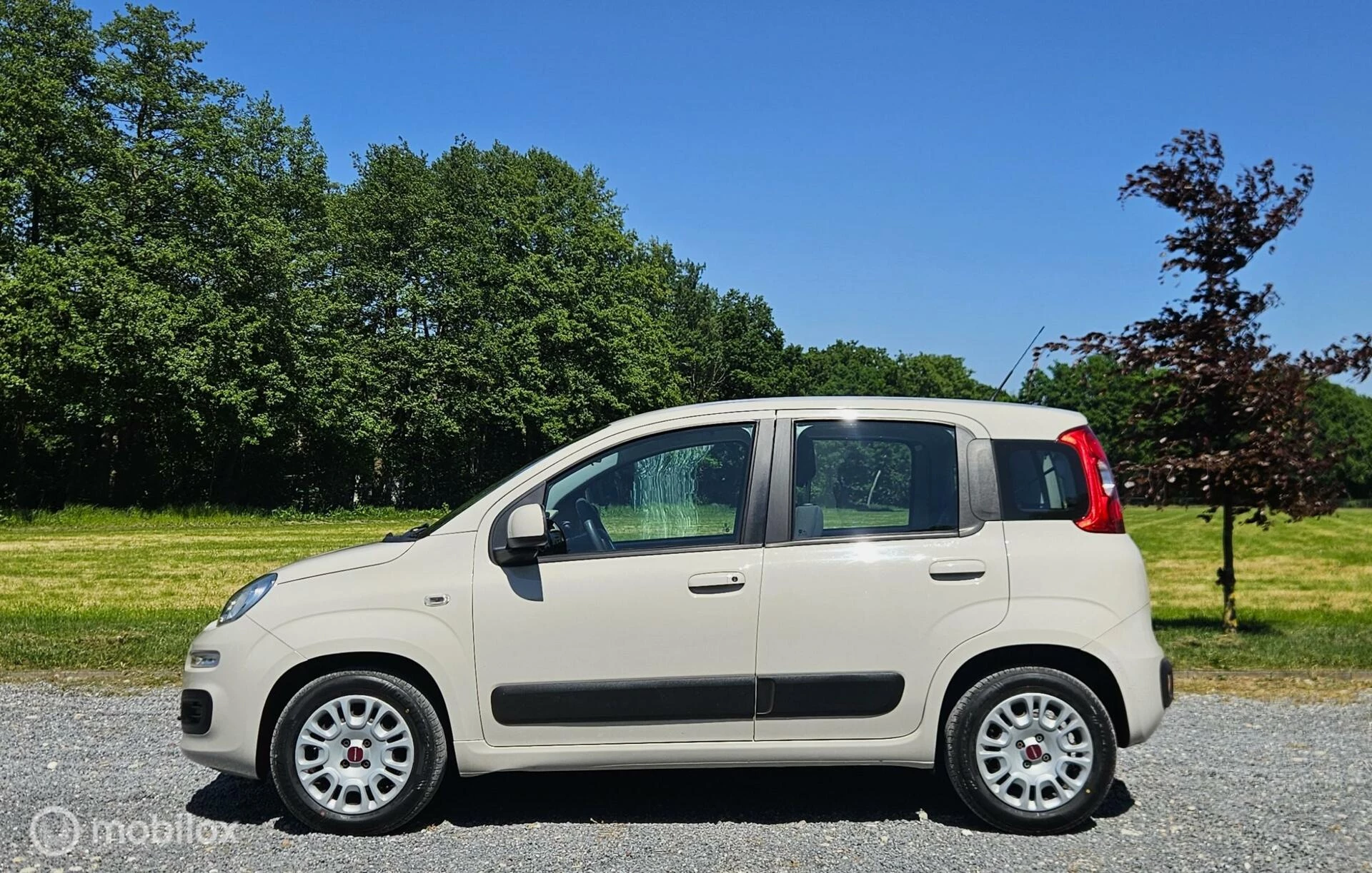 Hoofdafbeelding Fiat Panda