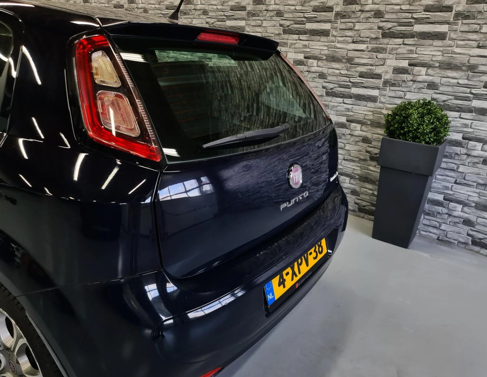 Hoofdafbeelding Fiat Punto