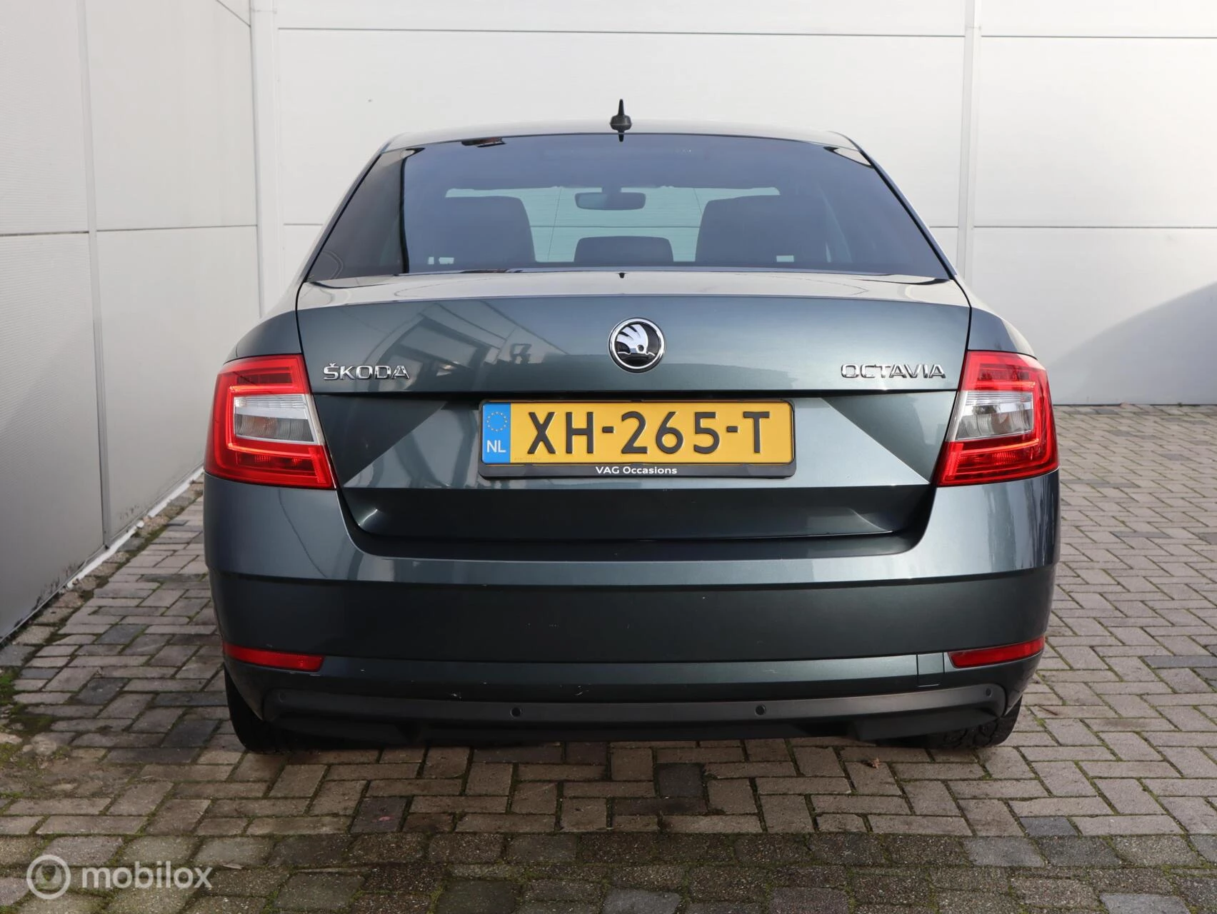 Hoofdafbeelding Škoda Octavia