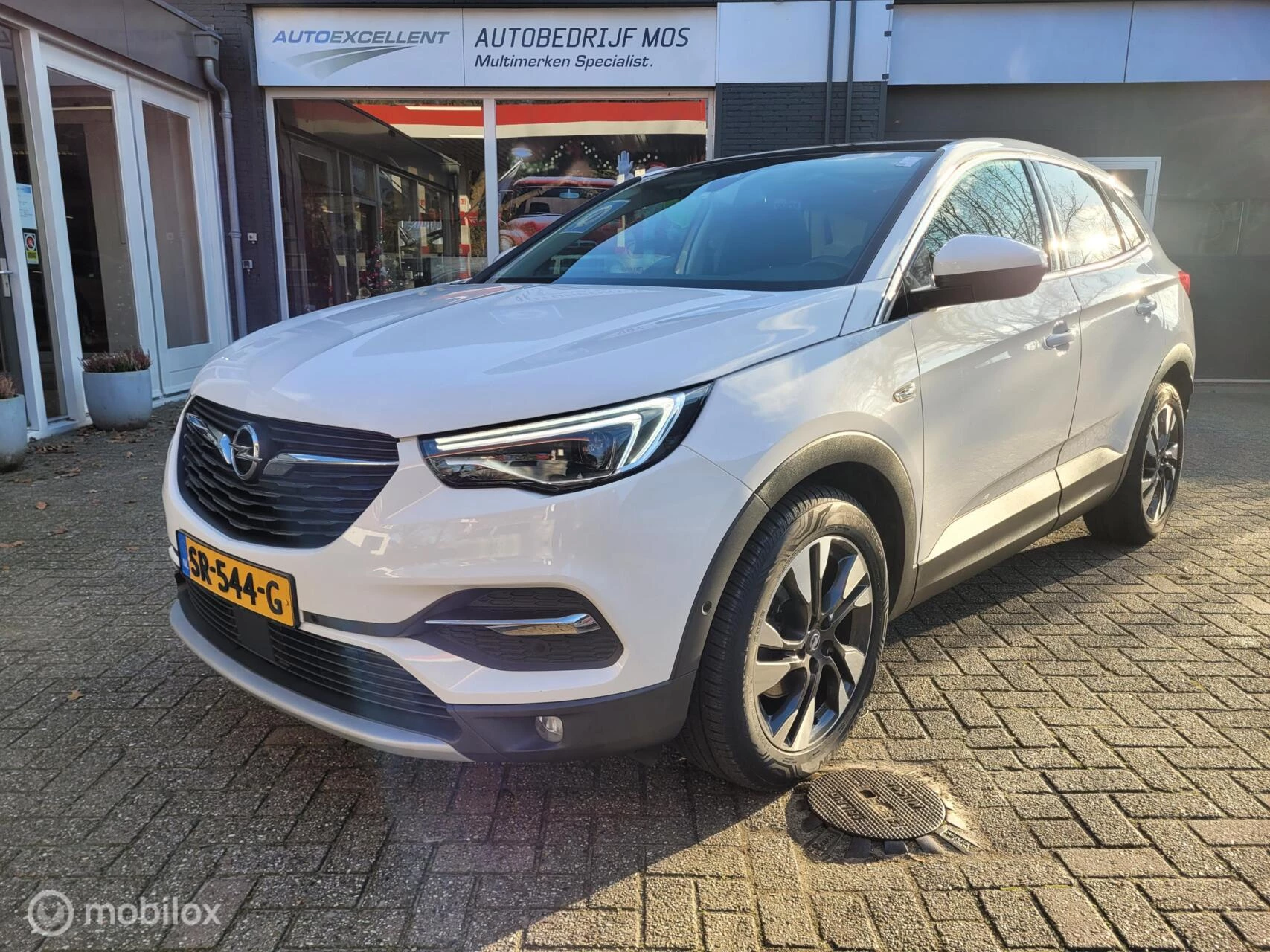 Hoofdafbeelding Opel Grandland X